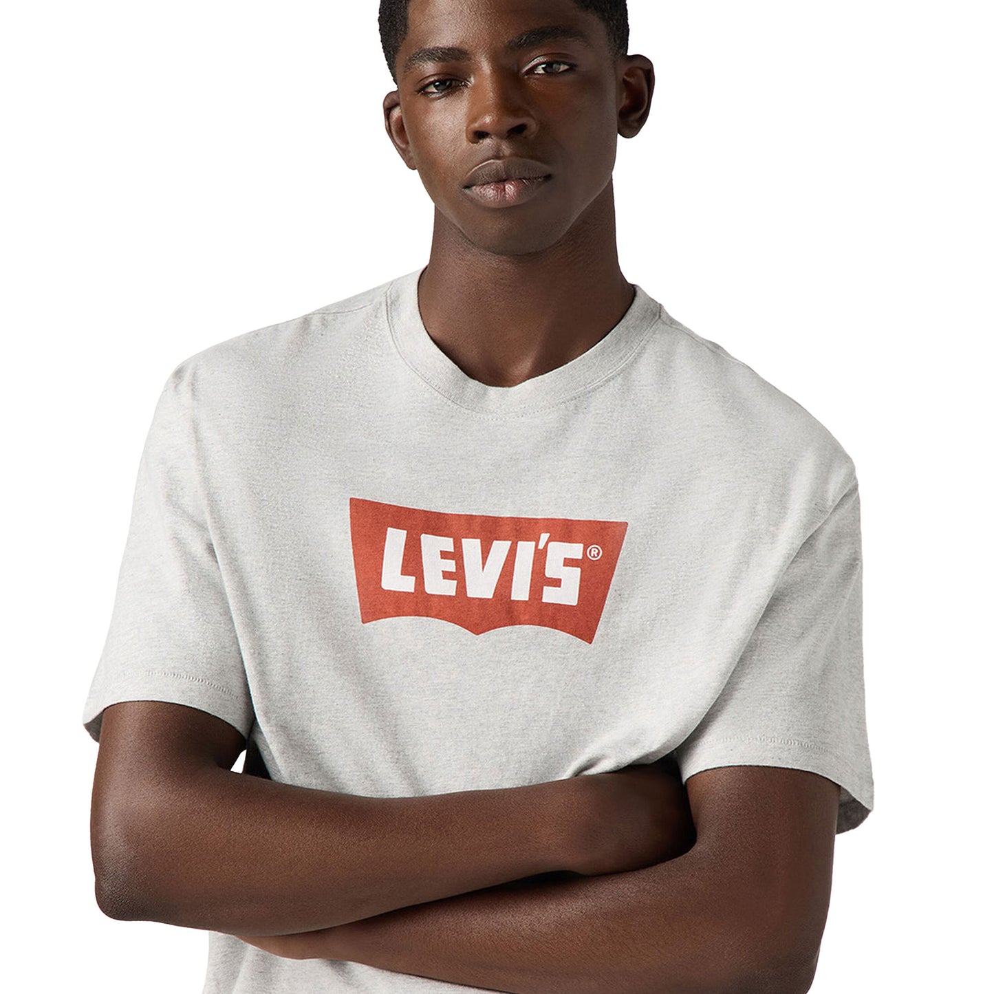Levis Vintage BW Graphic Tee BW Logo Light Heather Grey - 000RY-0009