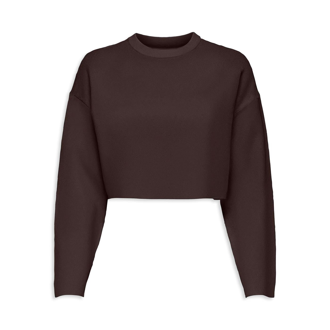 Only Anny LS Cropped O-Neck Knt Chocolate - 15331402C