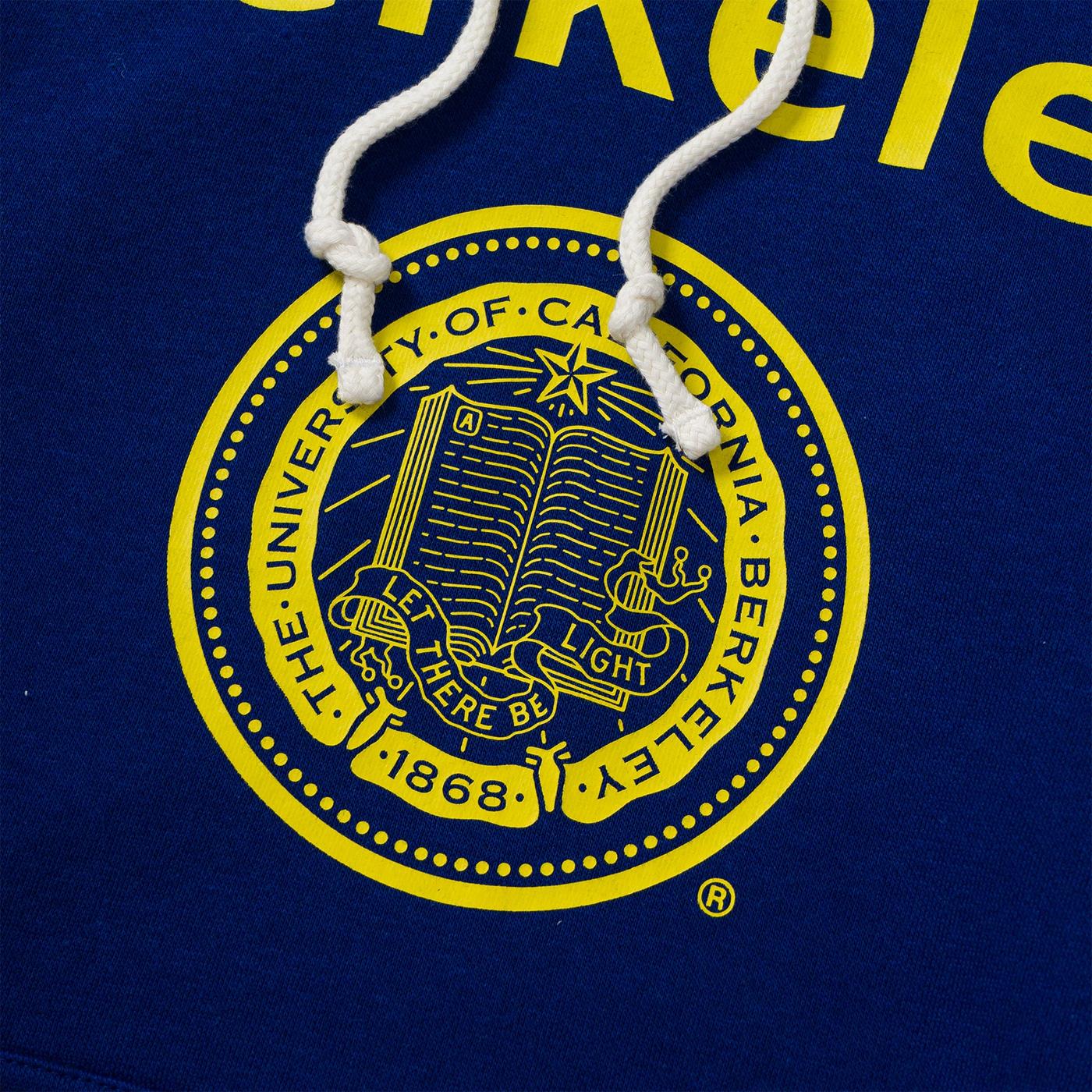 Champion Hooded Sweatshirt Navy - 218411BS539