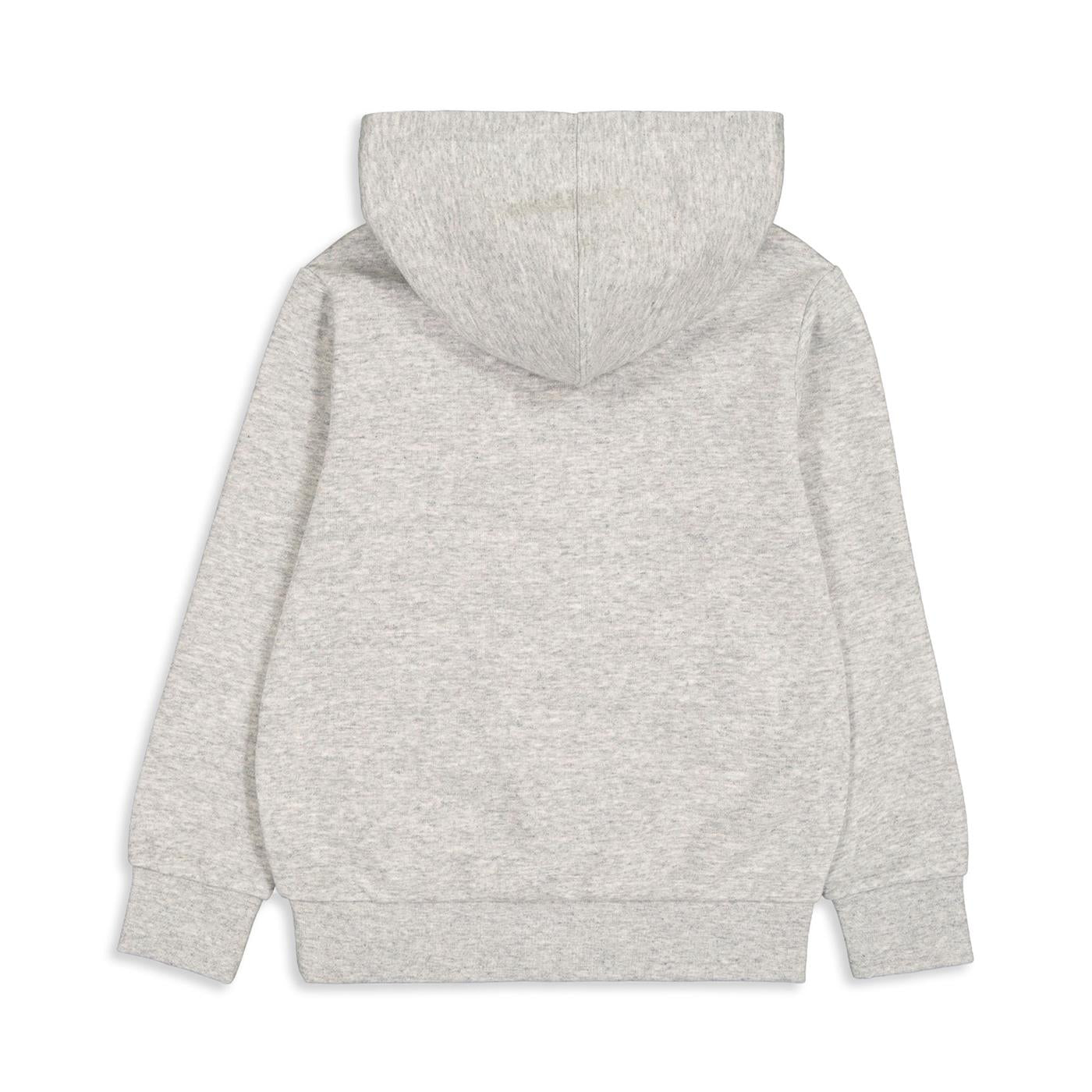 Champion Boys Hooded Sweatshirt Grey Heather  - 306874-EM021