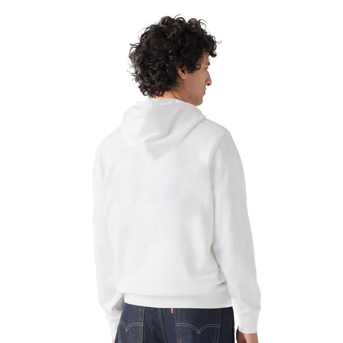 Levis LSE_T2 Relaxed Graphic PO HM Seasonal  - A2639-0037
