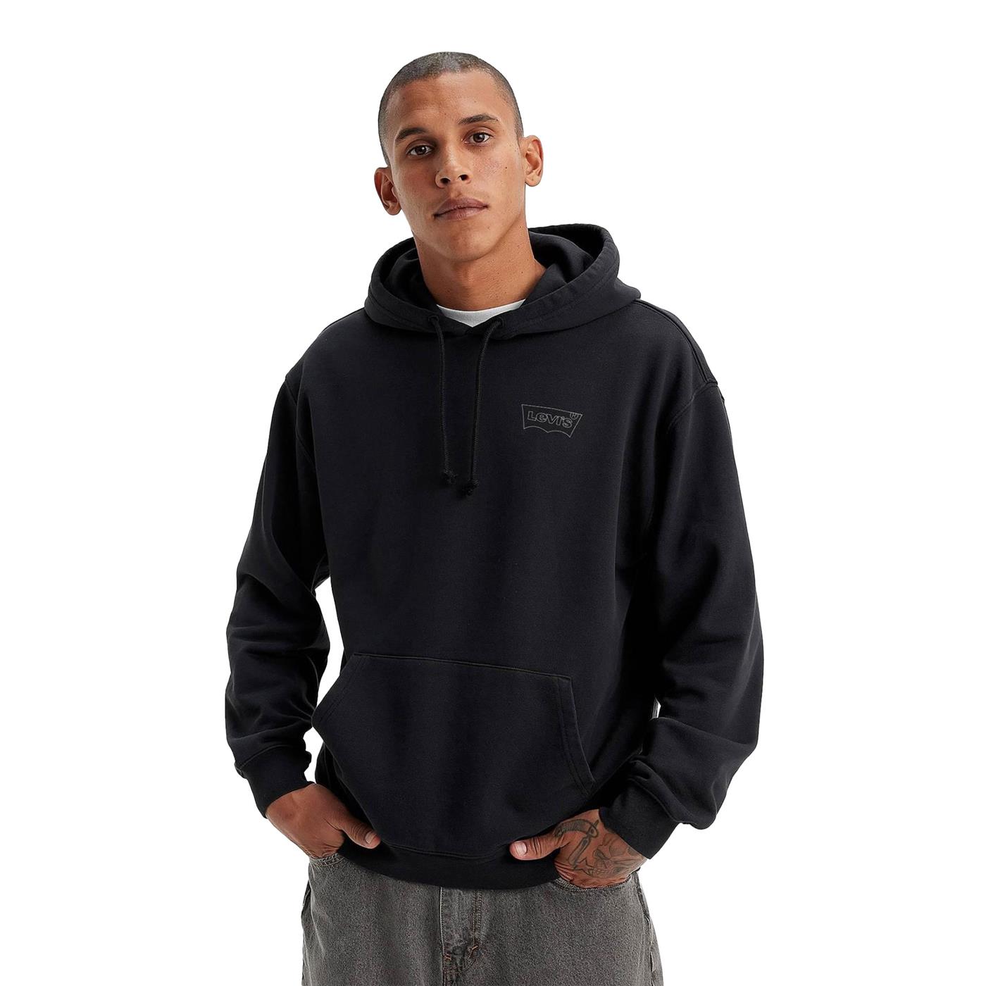 Levis LSE_T2 Relaxed Graphic PO HM Seasonal - A2639-0038