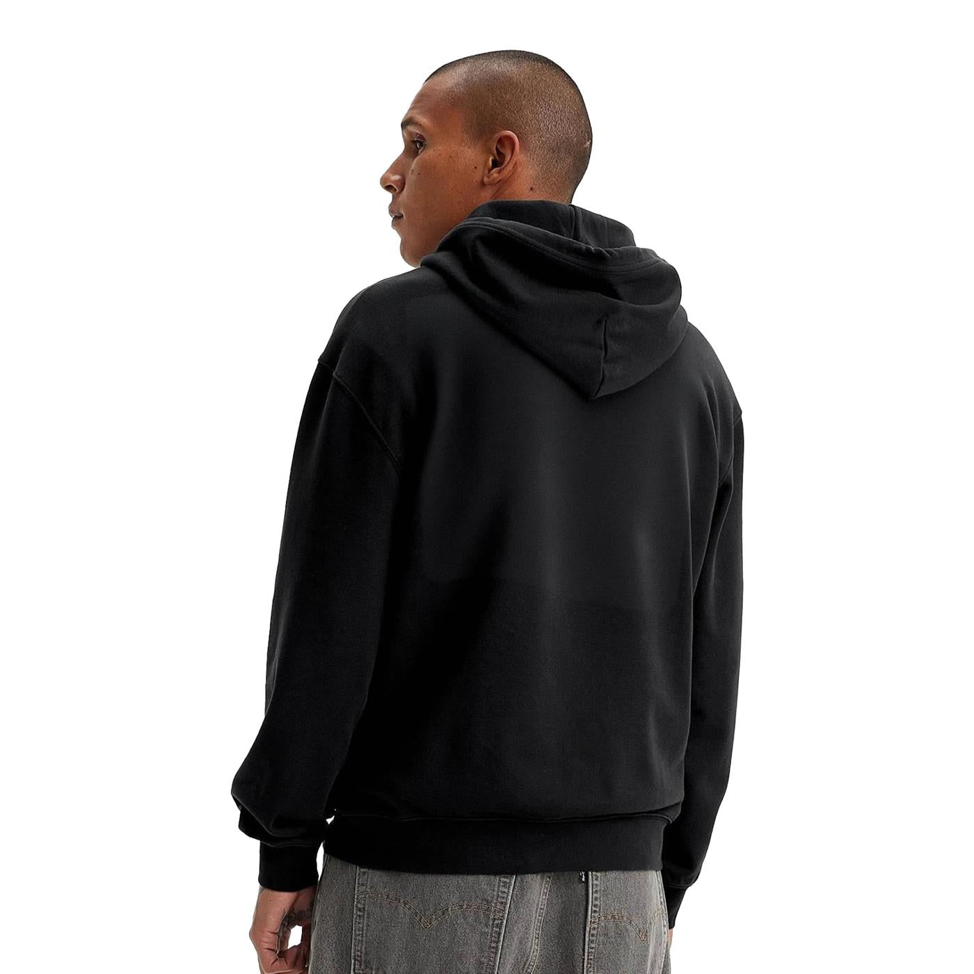 Levis LSE_T2 Relaxed Graphic PO HM Seasonal - A2639-0038