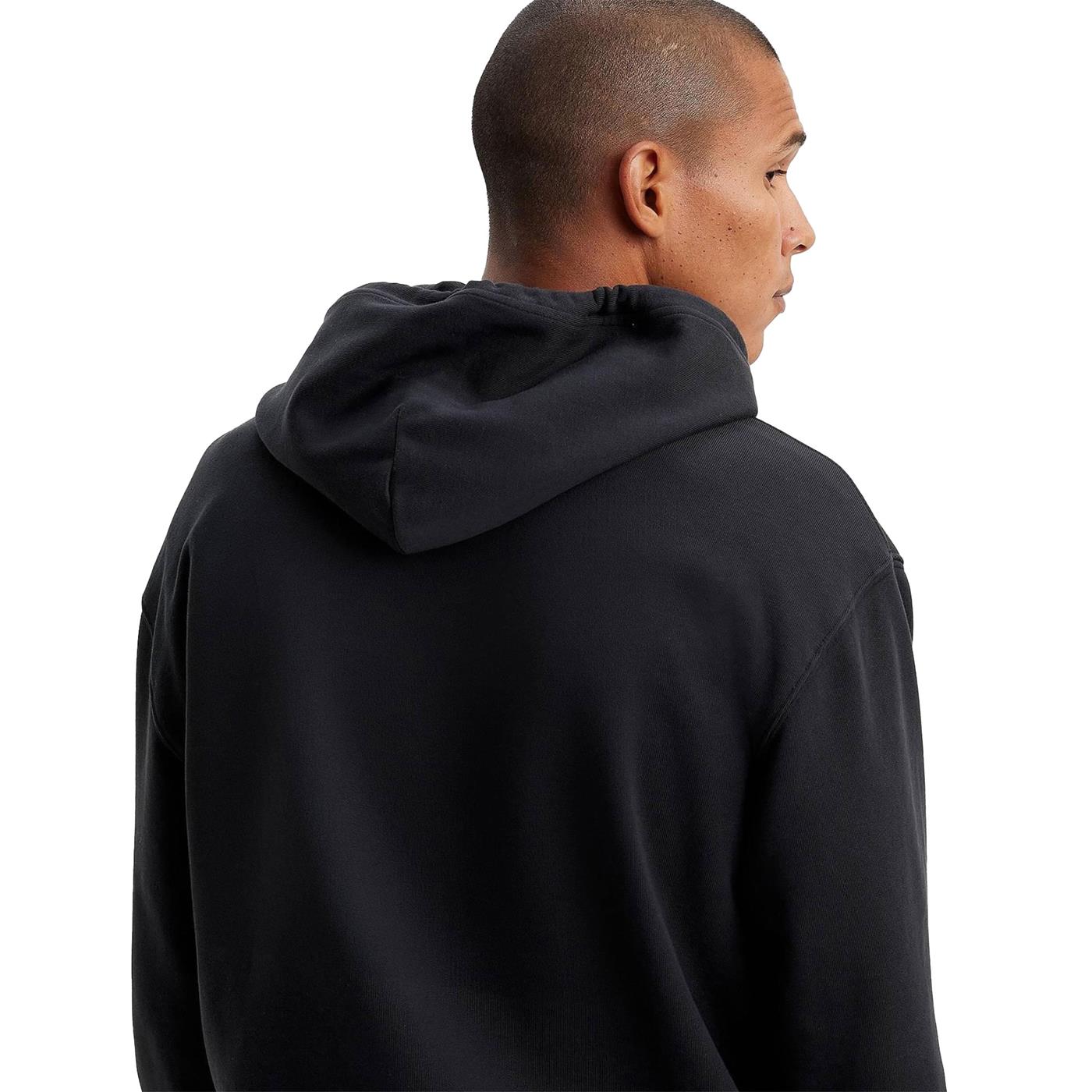 Levis LSE_T2 Relaxed Graphic PO HM Seasonal - A2639-0038