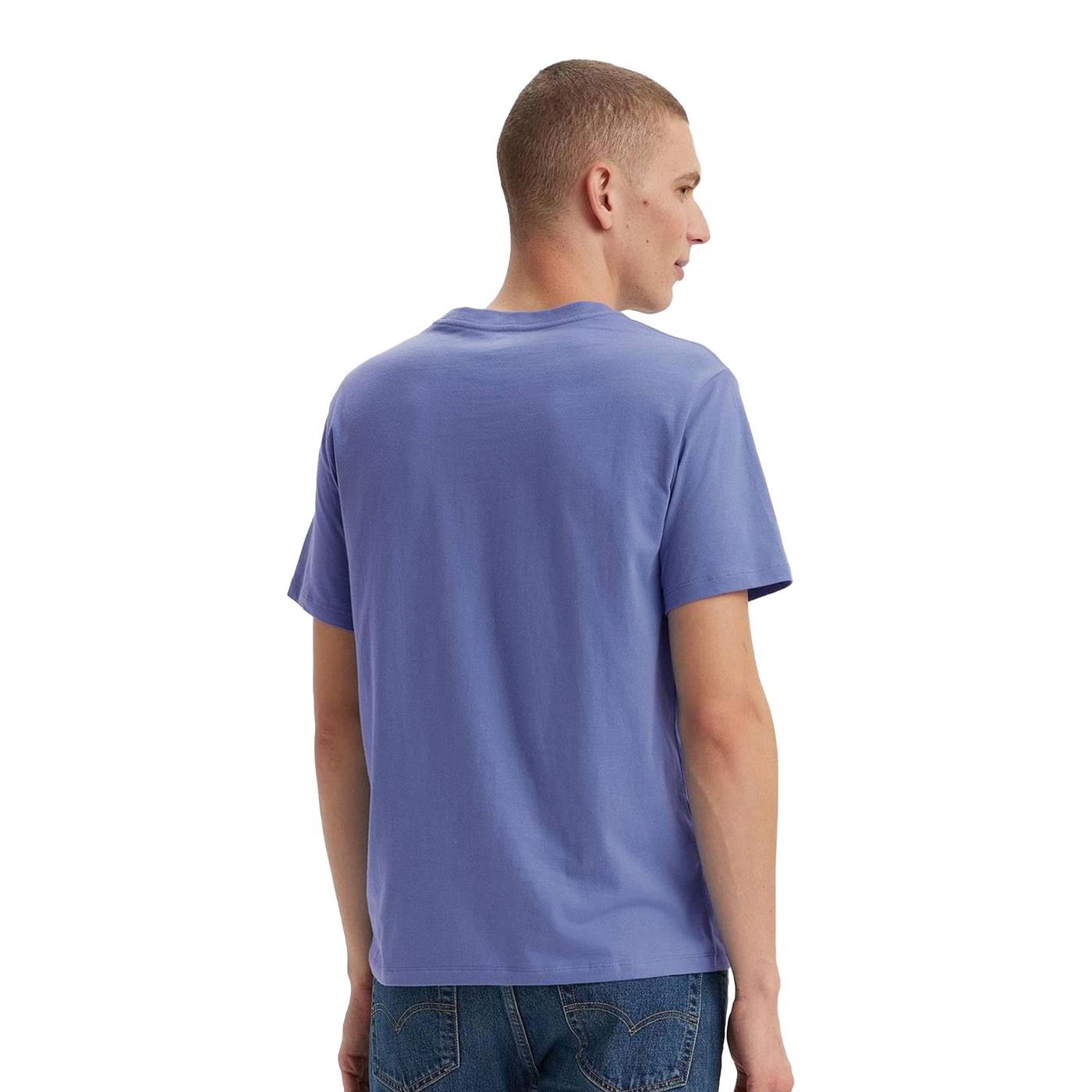 Levis LSE Graphic Crewneck Tee HM Seasonal Fill Bleached - A2823-0253