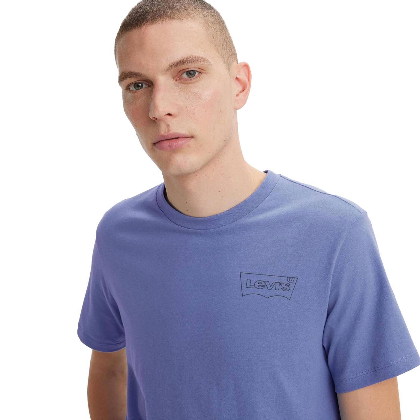 Levis LSE Graphic Crewneck Tee HM Seasonal Fill Bleached - A2823-0253