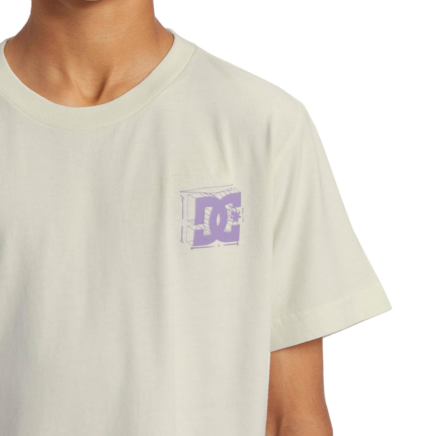 DC Shoes Mid Century HSS Tee Lily White Enzyme Wash - ADYZT05358-LWEW