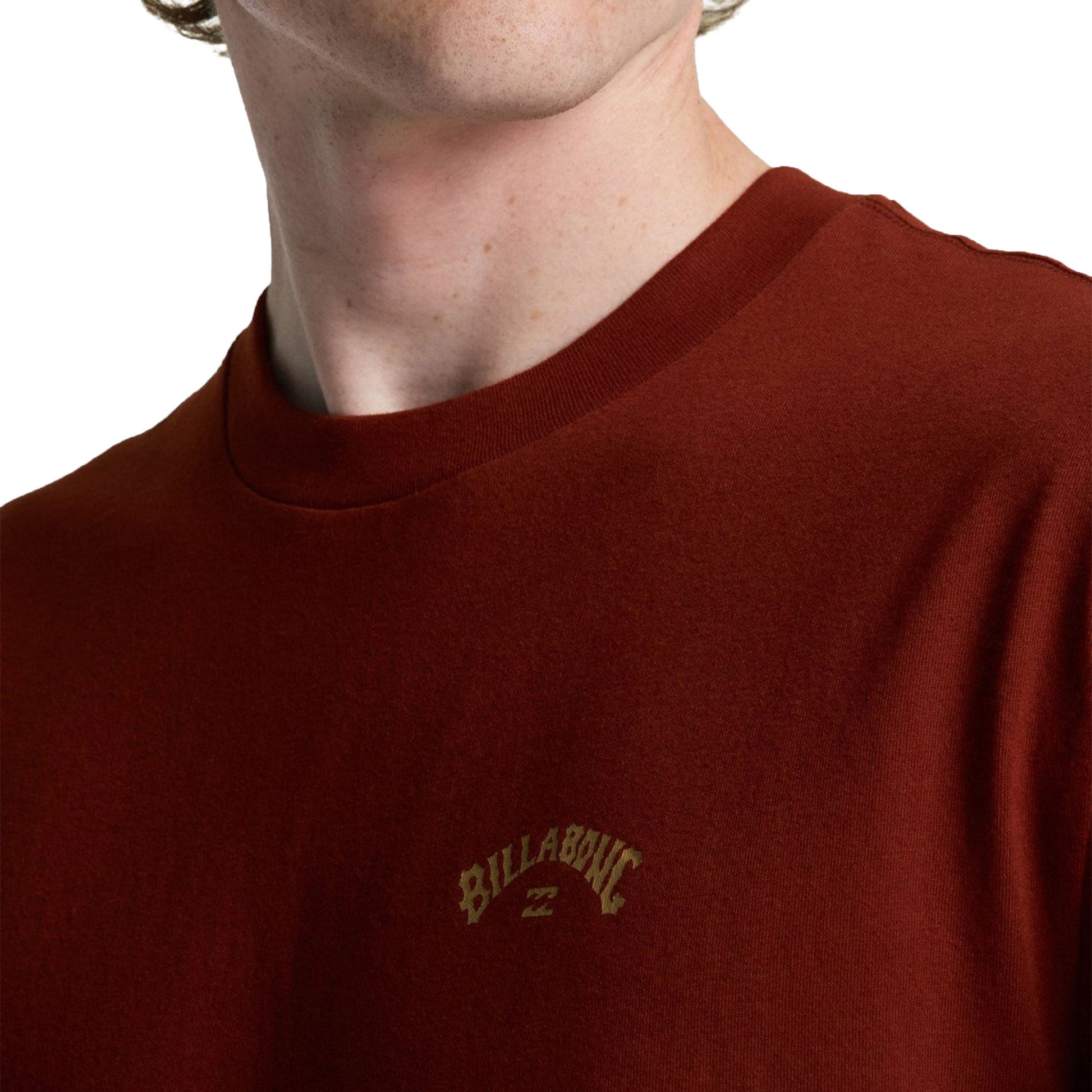 Billabong Arch Wave T-Shirt Brick  - C1SS65BIP2-RZA0