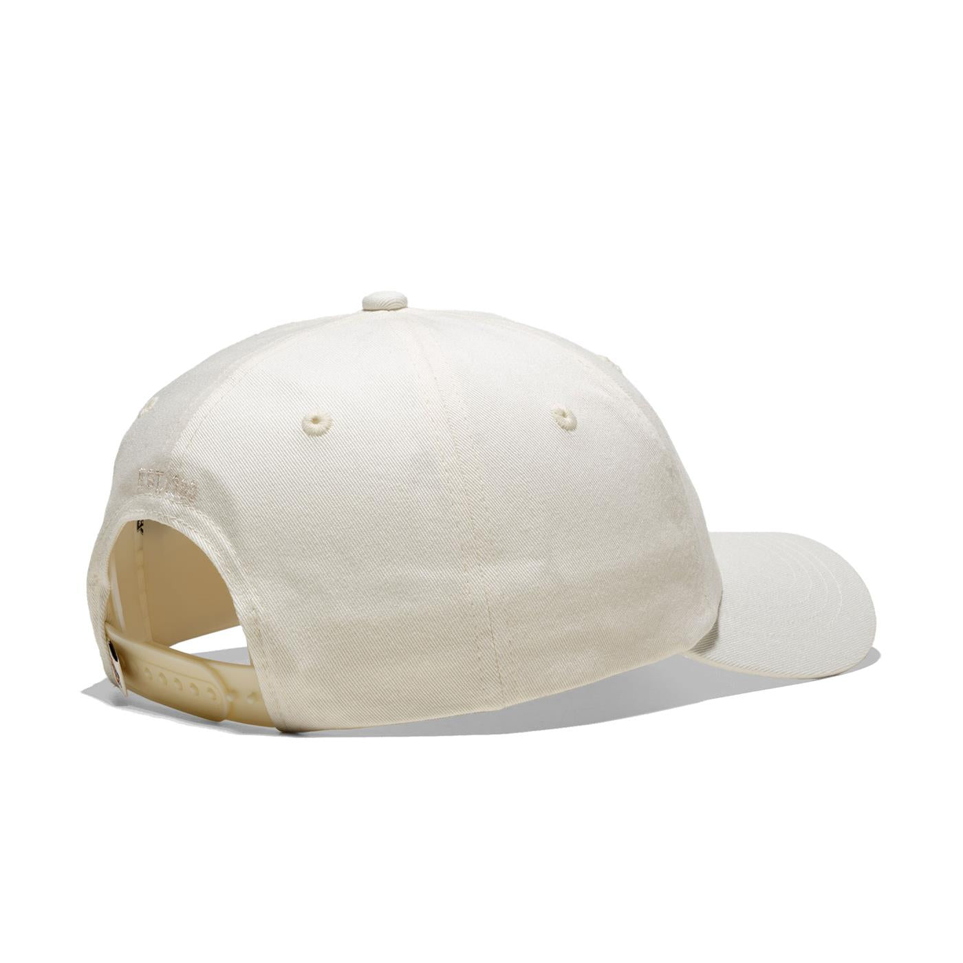 Dickies Hardwick Cap Cloud - DK0A4TKVC58