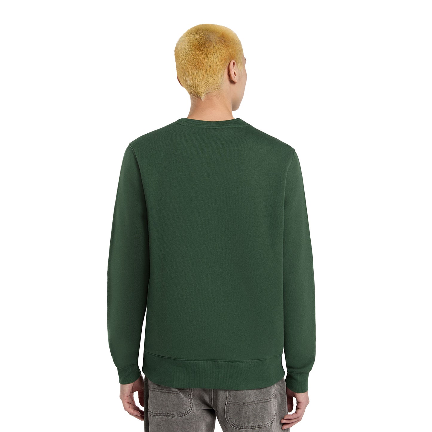 Dickies Oakport Crew Sweat Pine Needle Green - DK0A4XCEPIN