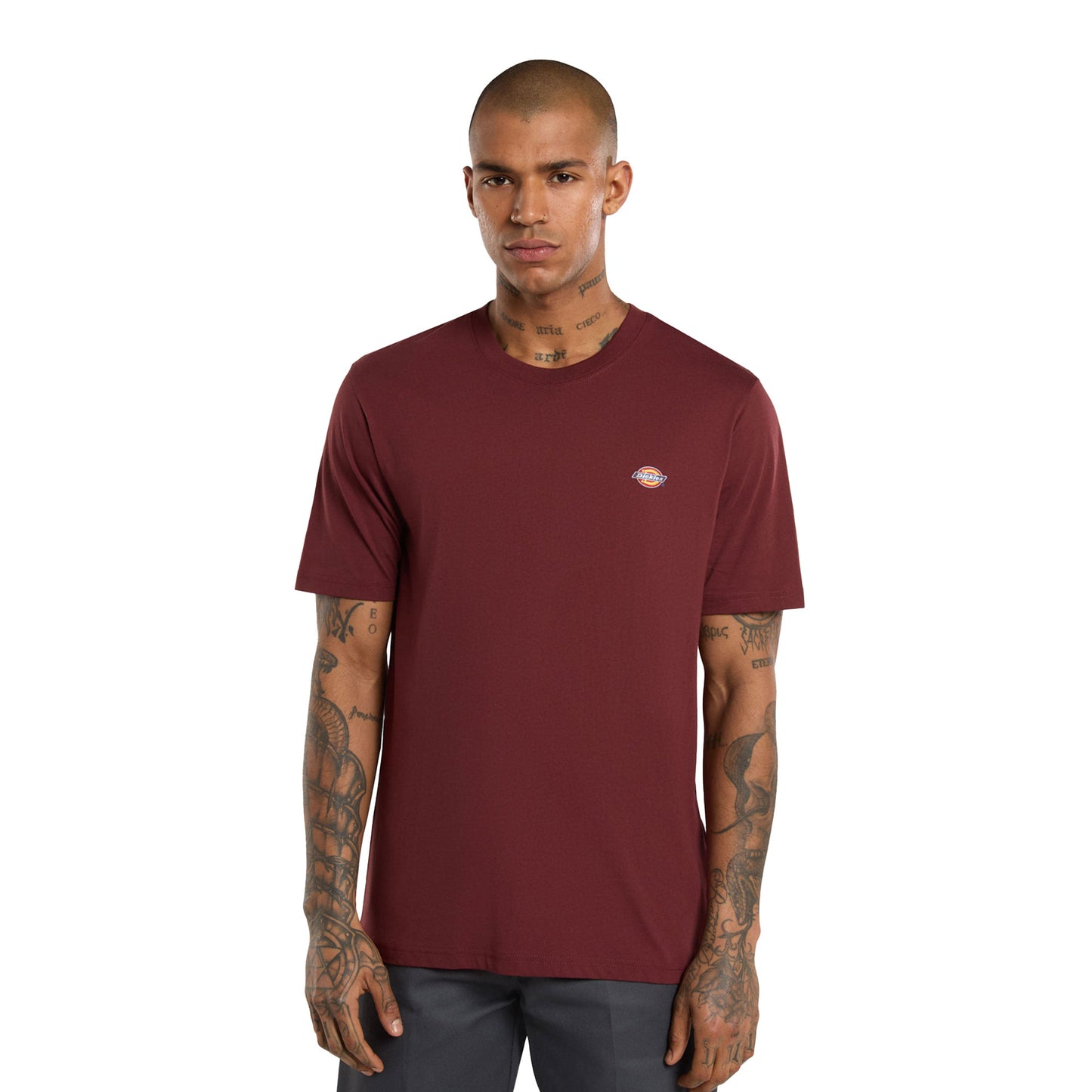 Dickies Mapleton T-Shirt Andorra - DK0A4XDBL16