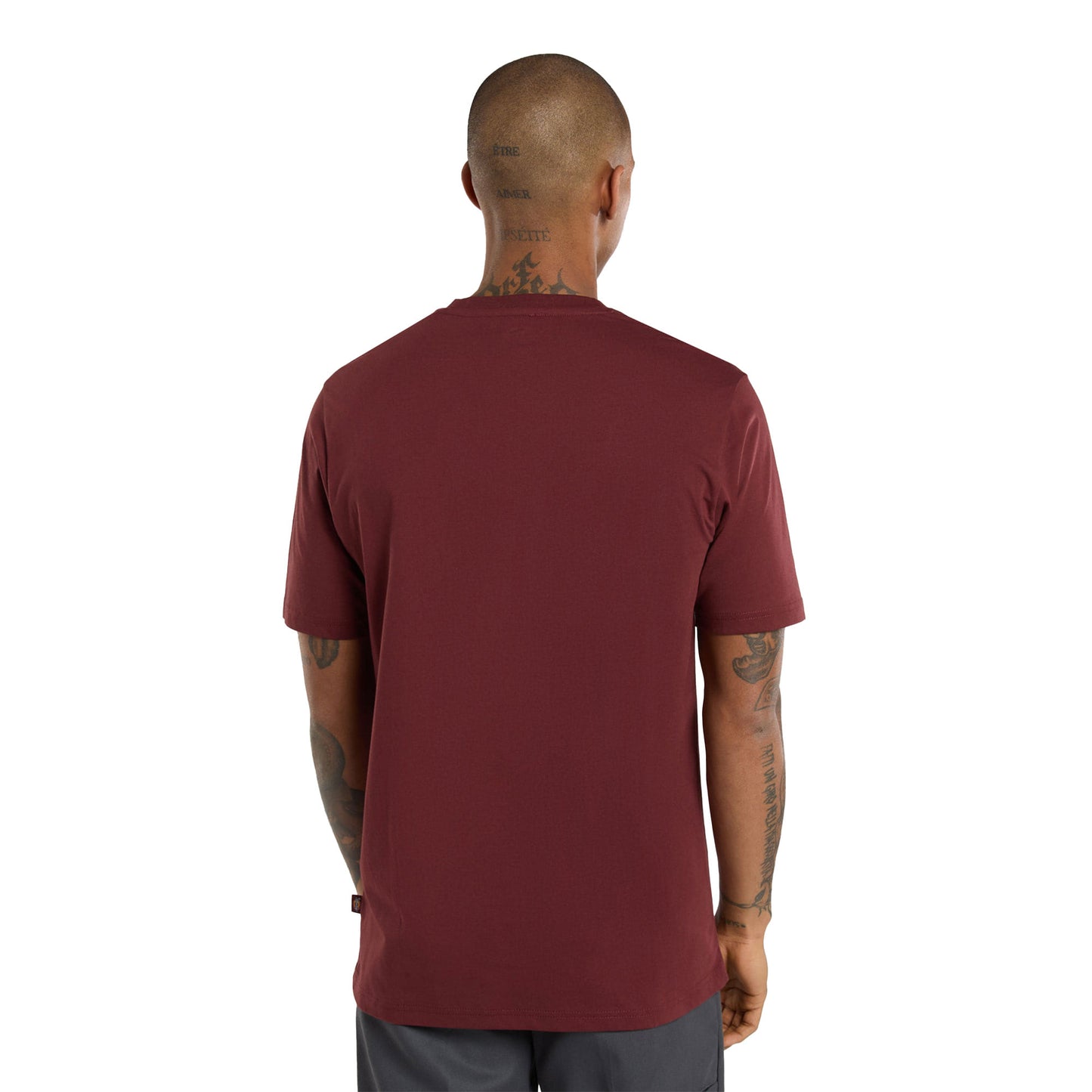 Dickies Mapleton T-Shirt Andorra - DK0A4XDBL16