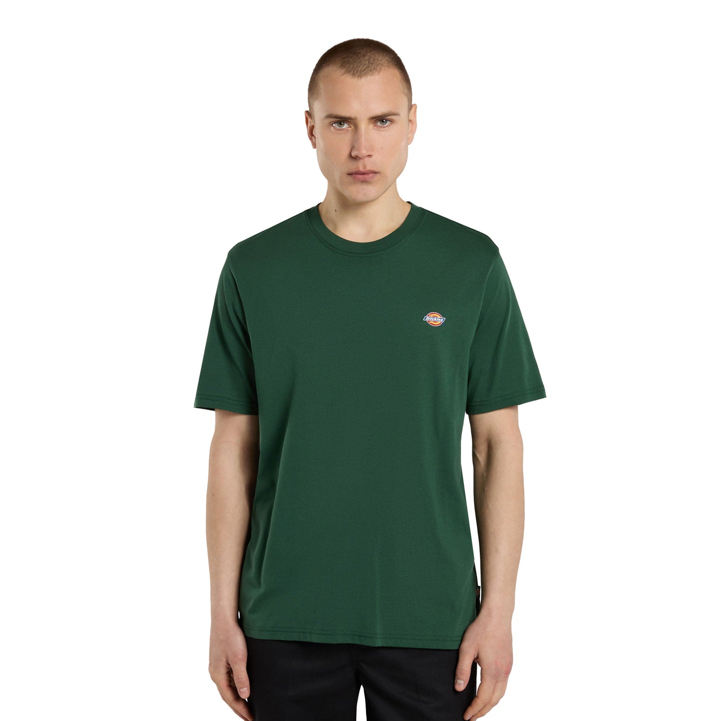 Dickies Mapleton T-Shirt Whitecap Pine Needle Green - DK0A4XDBPIN