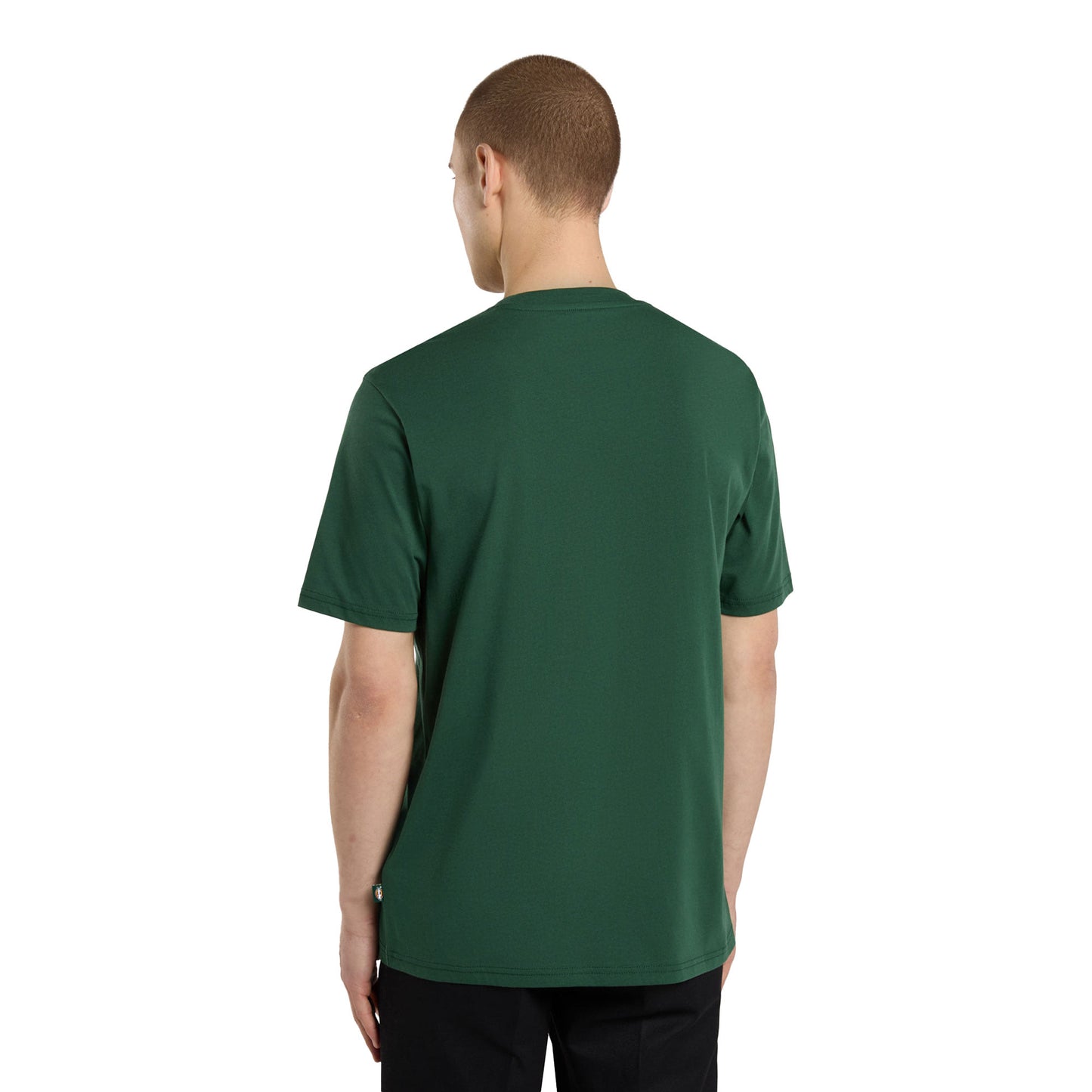 Dickies Mapleton T-Shirt Whitecap Pine Needle Green - DK0A4XDBPIN