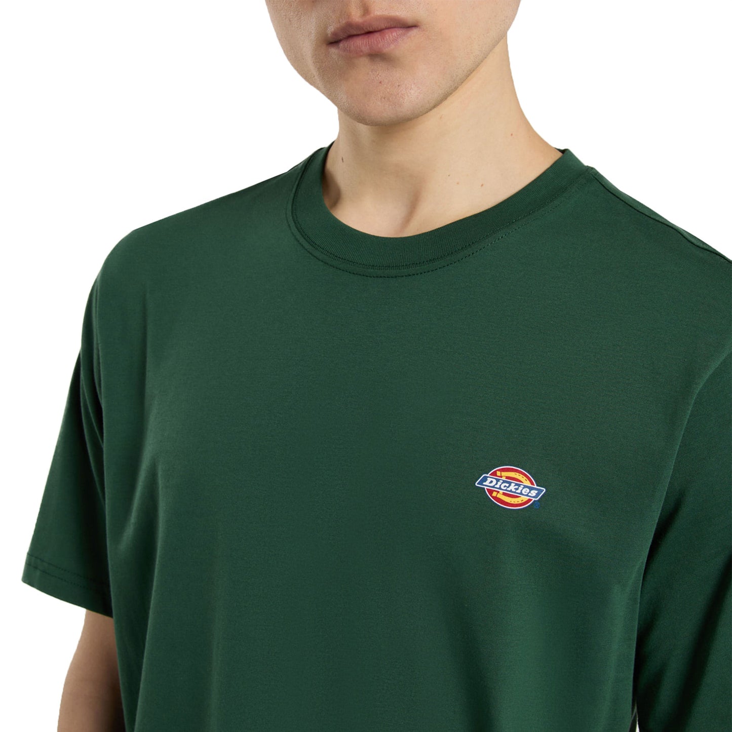 Dickies Mapleton T-Shirt Whitecap Pine Needle Green - DK0A4XDBPIN