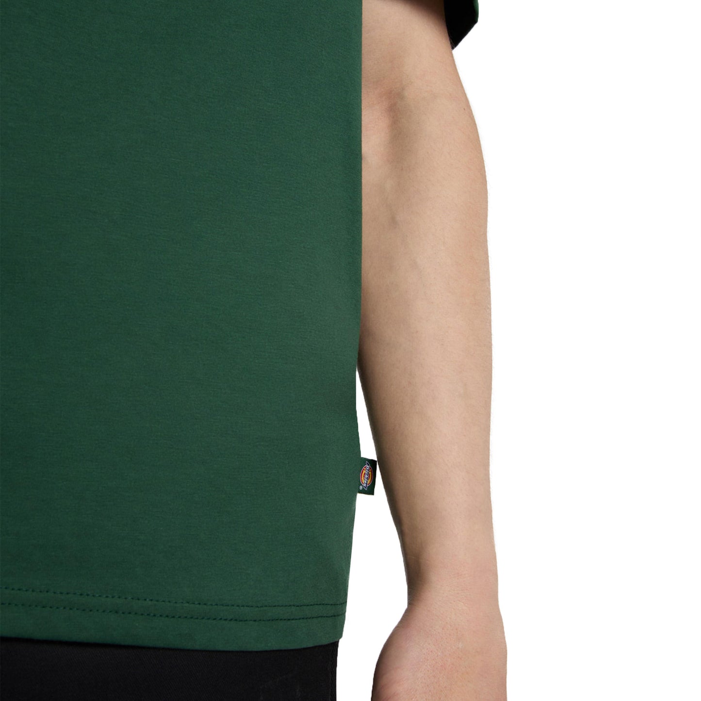 Dickies Mapleton T-Shirt Whitecap Pine Needle Green - DK0A4XDBPIN