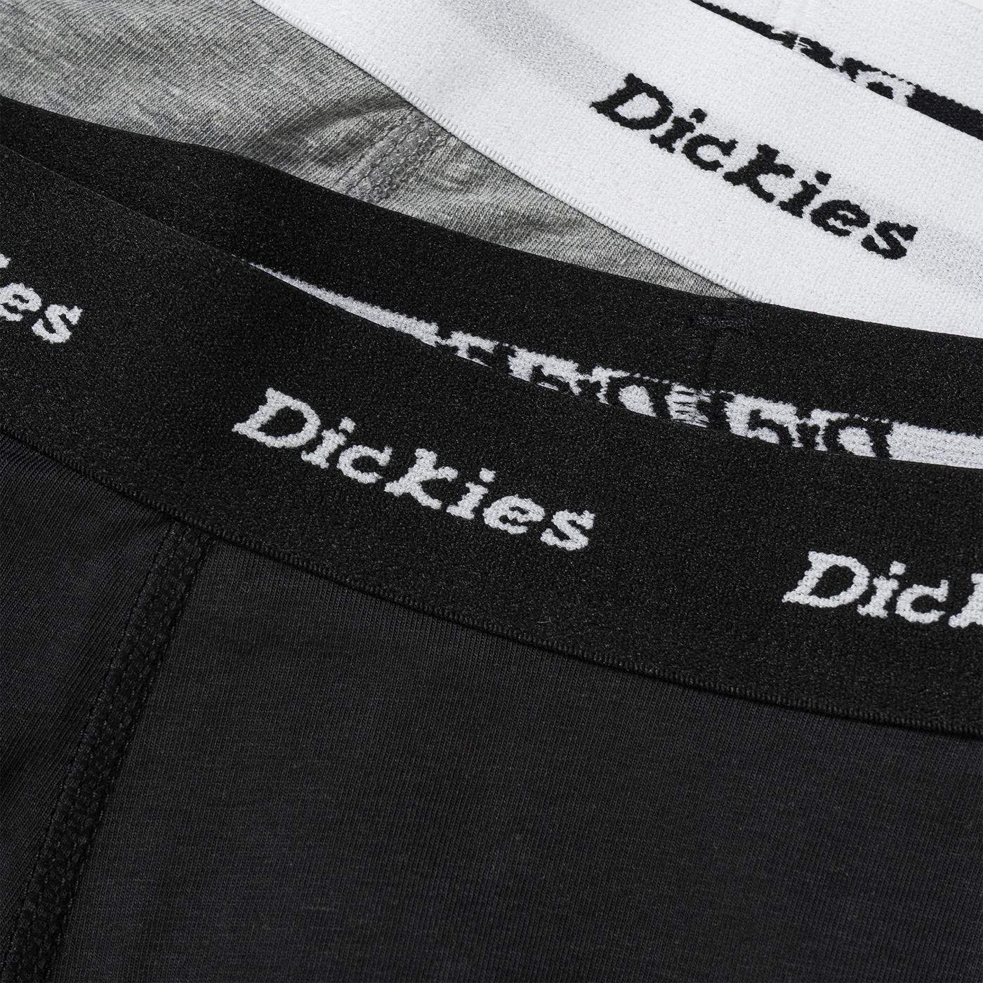 Dickies 2 Pack Trunks Assorted - DK0A4XOEAST