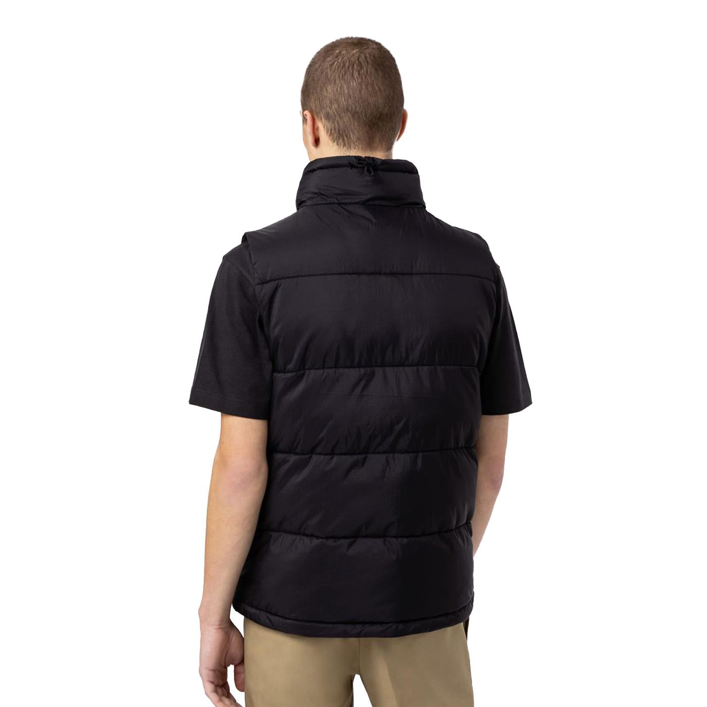 Dickies Waldenburg Vest Black - DK0A4Y2KBLK