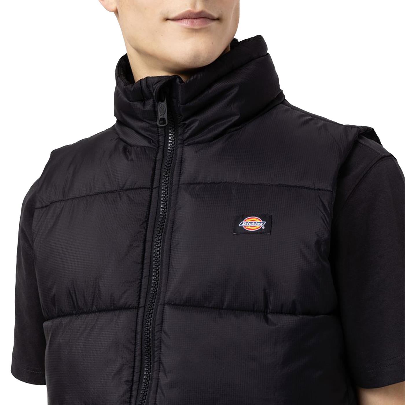 Dickies Waldenburg Vest Black - DK0A4Y2KBLK