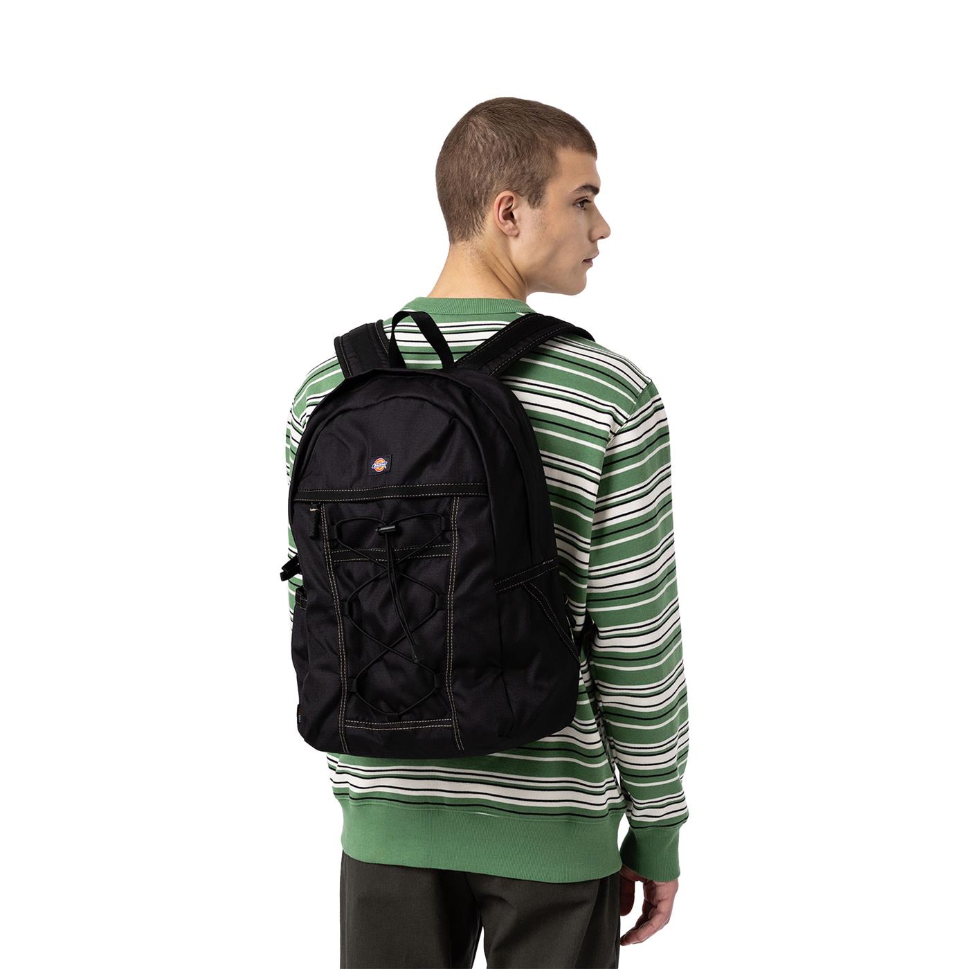 Dickies Ashville Backpack Black - DK0A4Y33BLK