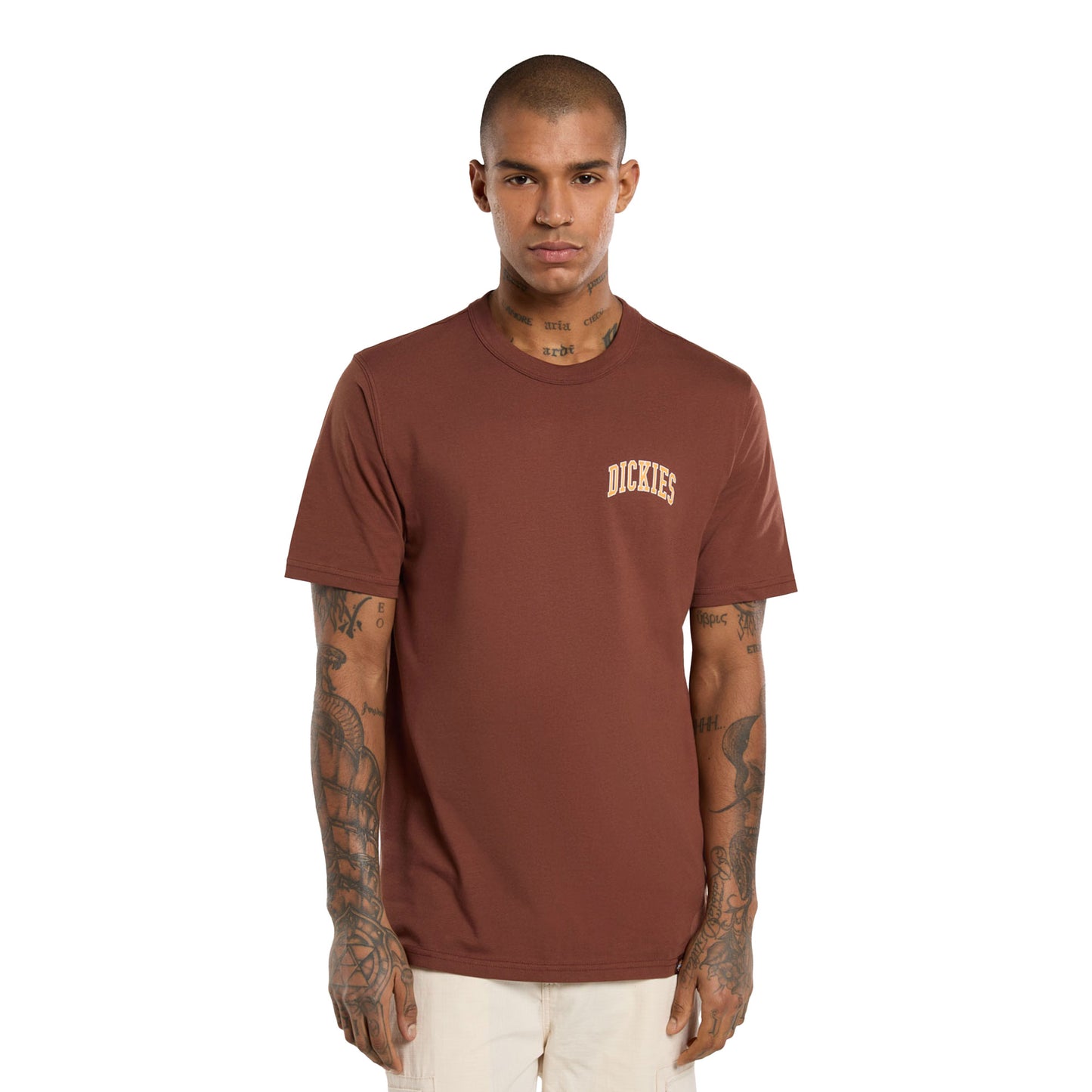 Dickies Aitkin Chest T-Shirt Cappucino - DK0A4Y8OK47