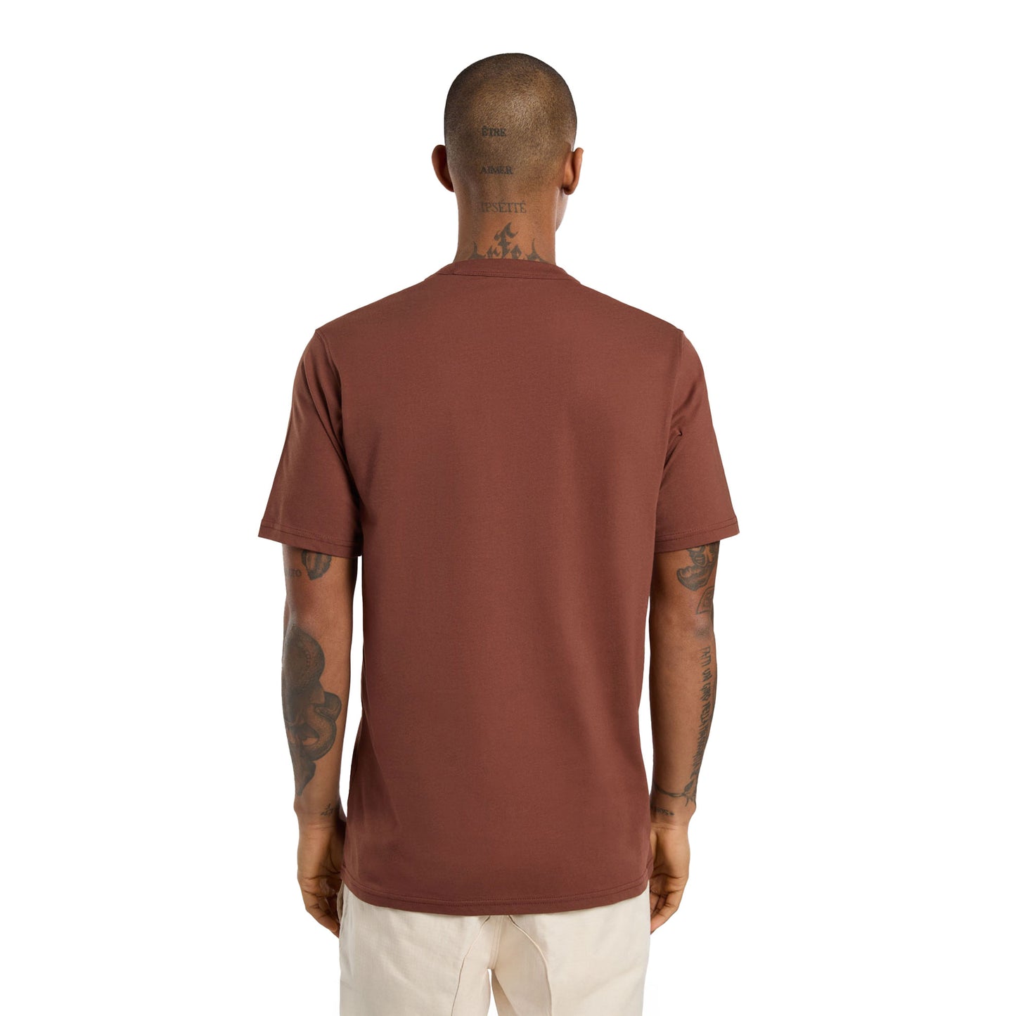 Dickies Aitkin Chest T-Shirt Cappucino - DK0A4Y8OK47