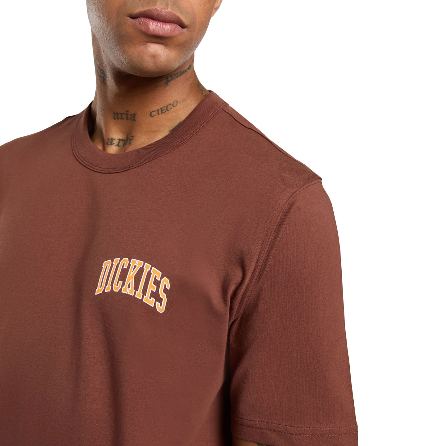 Dickies Aitkin Chest T-Shirt Cappucino - DK0A4Y8OK47