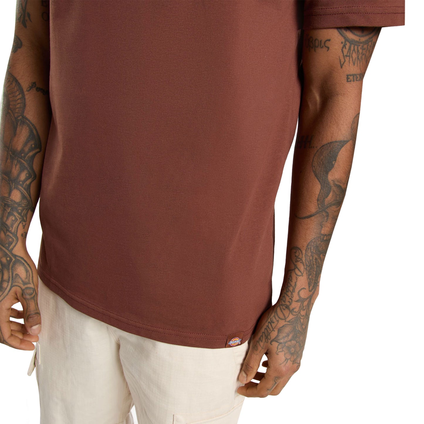 Dickies Aitkin Chest T-Shirt Cappucino - DK0A4Y8OK47