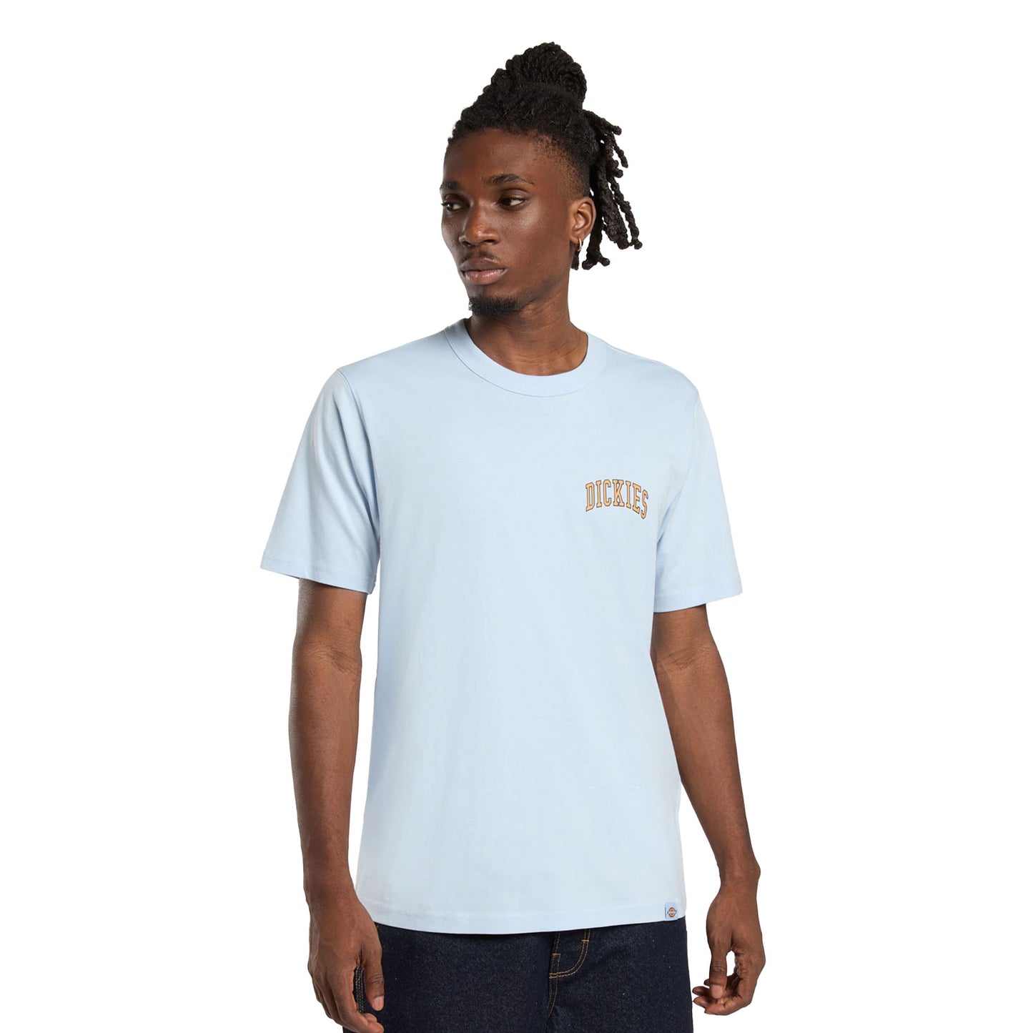 Dickies Aitkin Chest T-Shirt Skyway - DK0A4Y8OK54