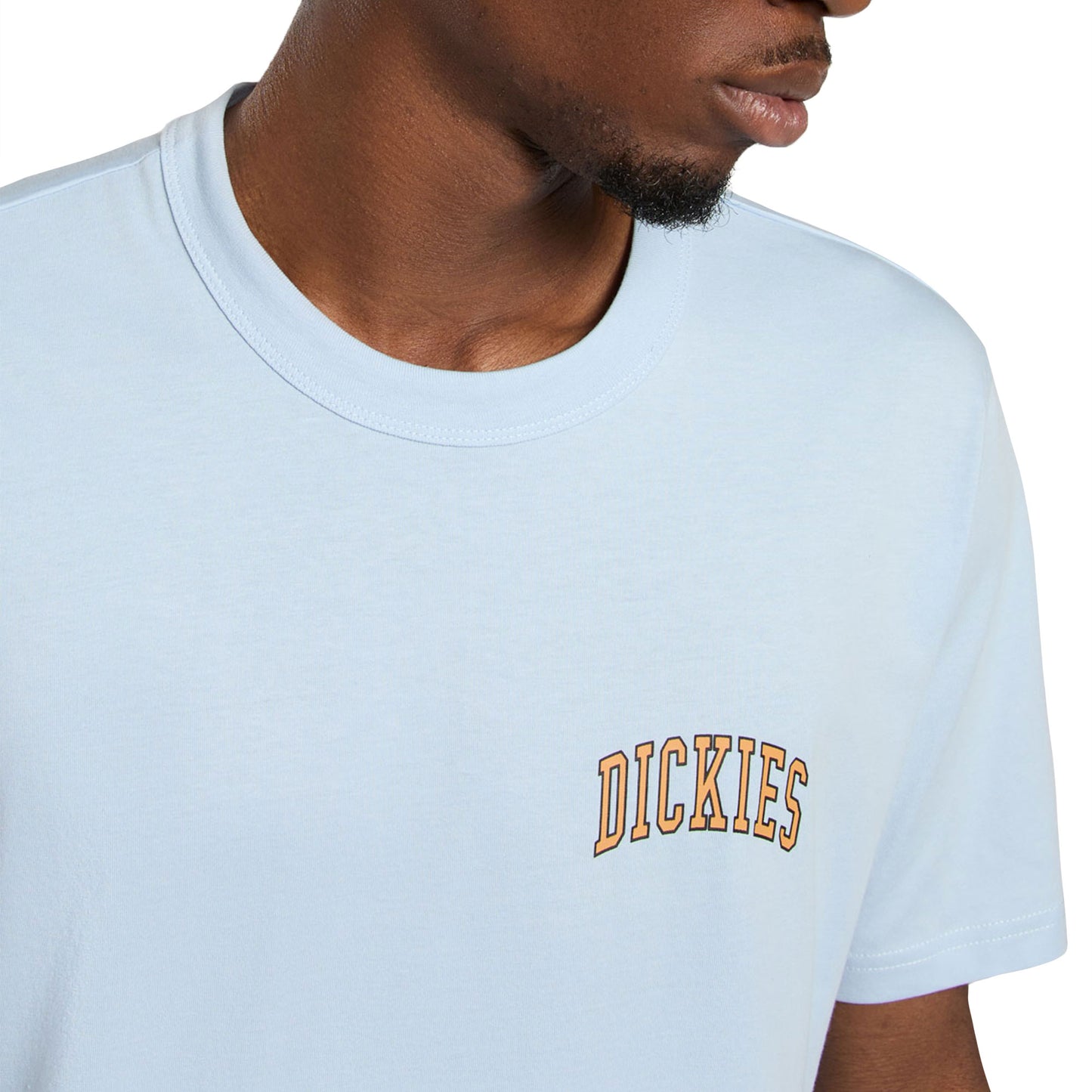 Dickies Aitkin Chest T-Shirt Skyway - DK0A4Y8OK54