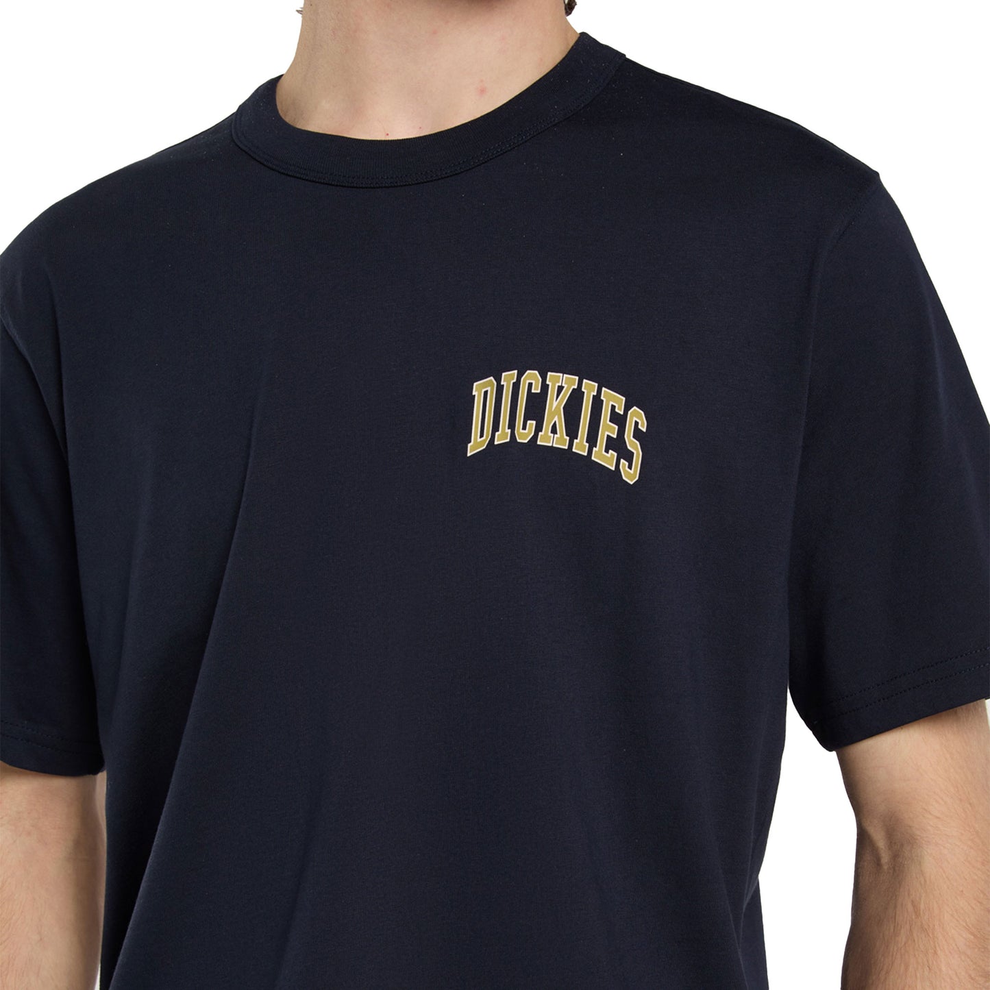 Dickies Aitkin Chest T-Shirt Night Sky - DK0A4Y8OL18