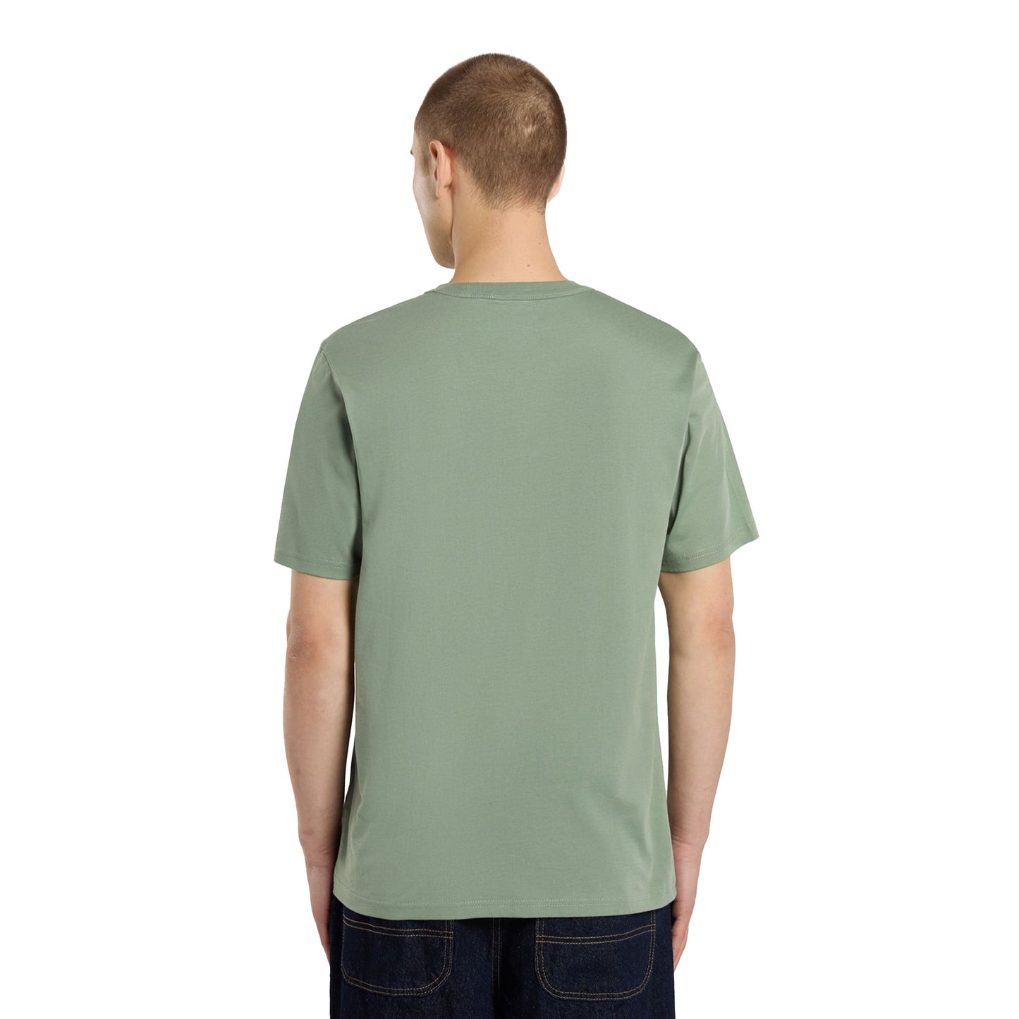 Dickies Aitkin Chest T-Shirt Sea Spray - DK0A4Y8OL19
