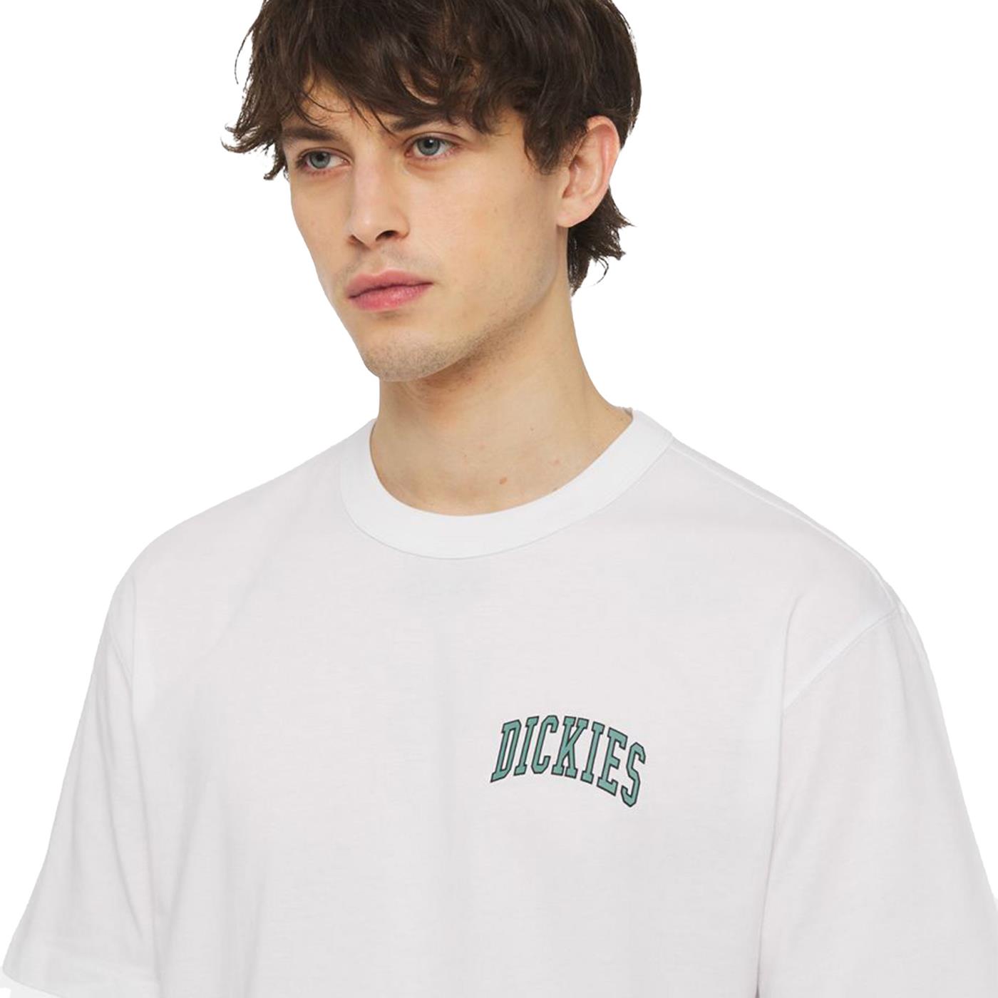 Dickies Aitkin Chest T-Shirt White - DK0A4Y8OWHT