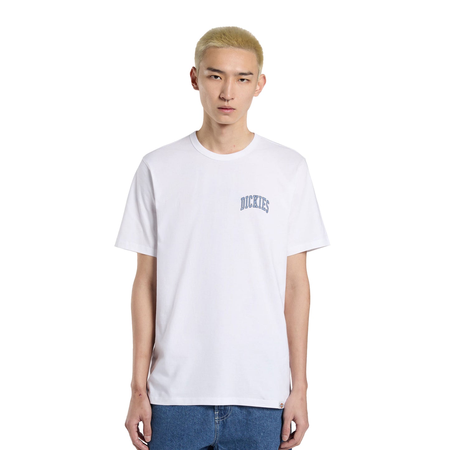 Dickies Aitkin Chest T-Shirt White/Blue - DK0A4Y8OWHX