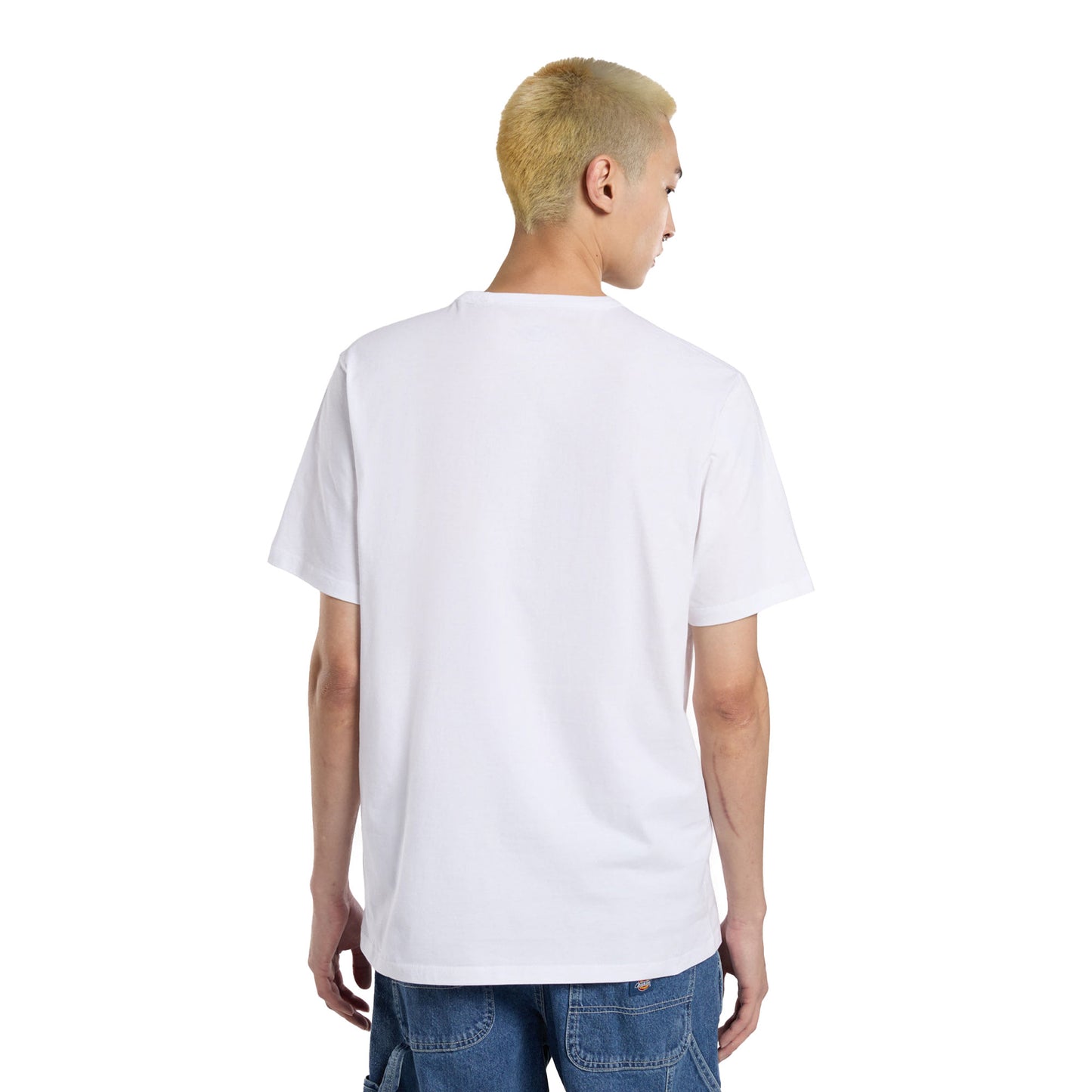 Dickies Aitkin Chest T-Shirt White/Blue - DK0A4Y8OWHX