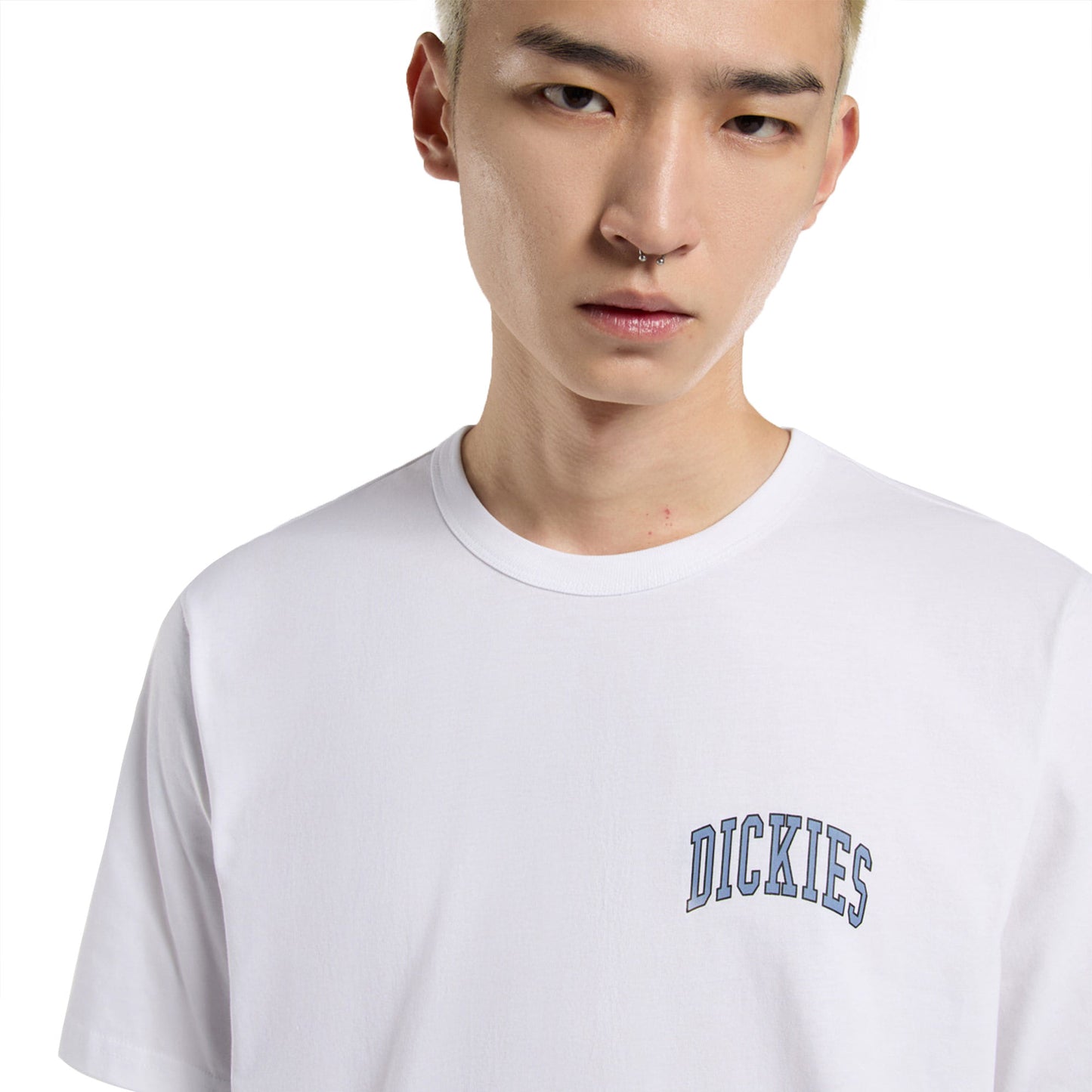 Dickies Aitkin Chest T-Shirt White/Blue - DK0A4Y8OWHX