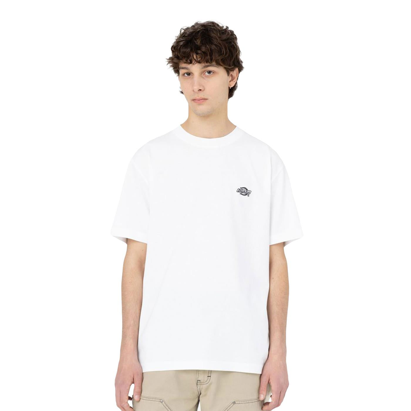 Dickies Summerdale Tee White - DK0A4YAIWHT