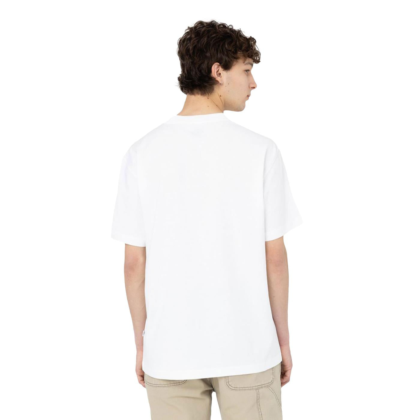 Dickies Summerdale Tee White - DK0A4YAIWHT
