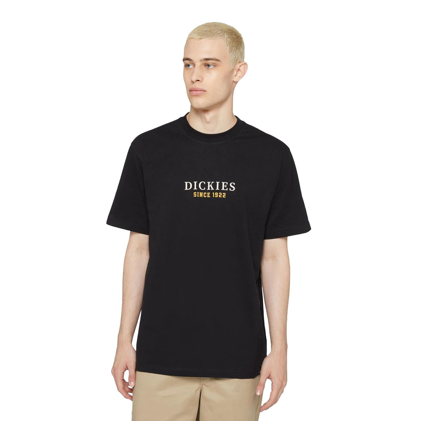 Dickies Park T-Shirt Black - DK0A4YFDBLK