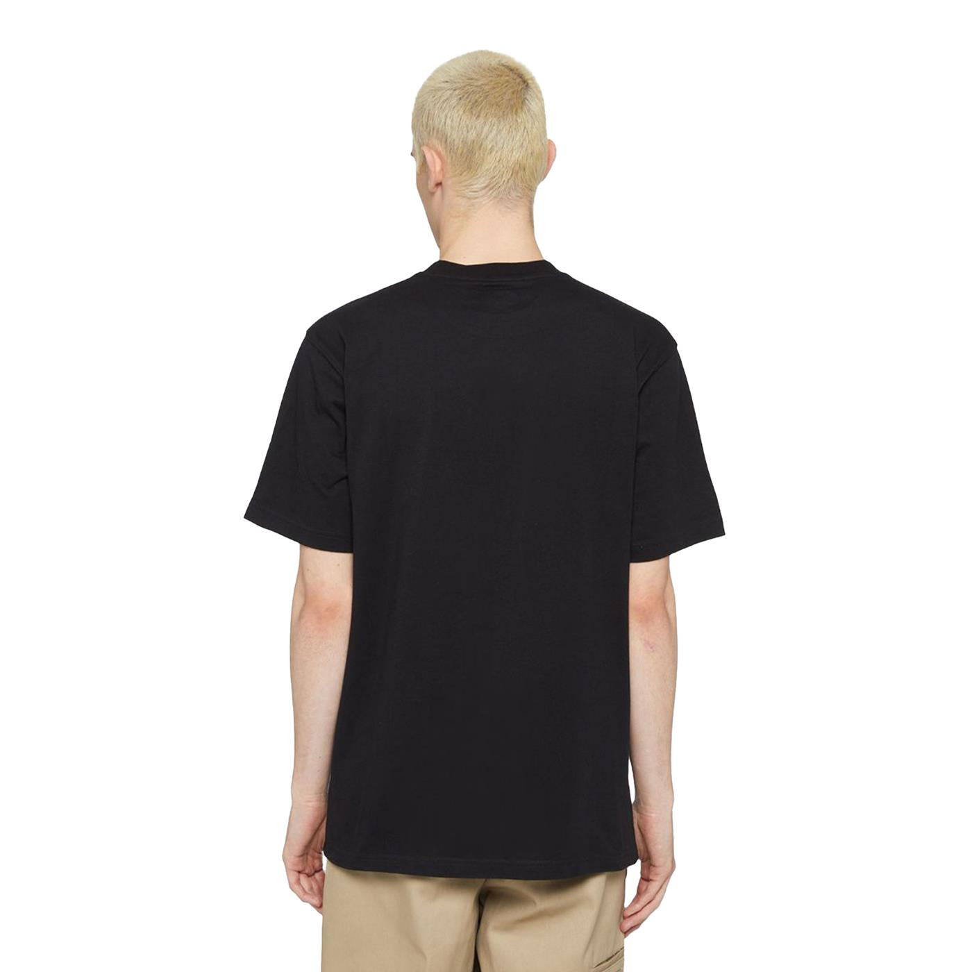 Dickies Park T-Shirt Black - DK0A4YFDBLK
