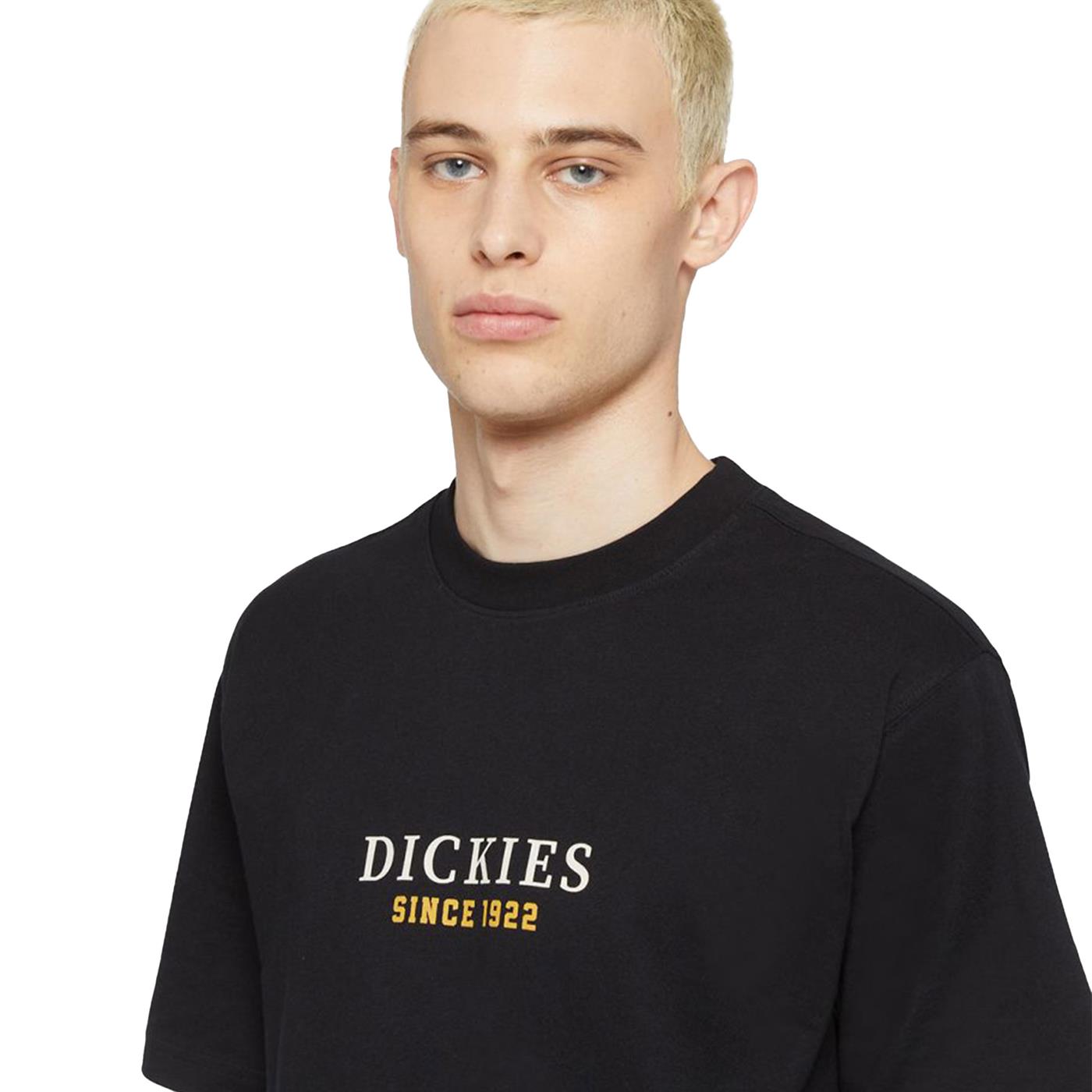 Dickies Park T-Shirt Black - DK0A4YFDBLK