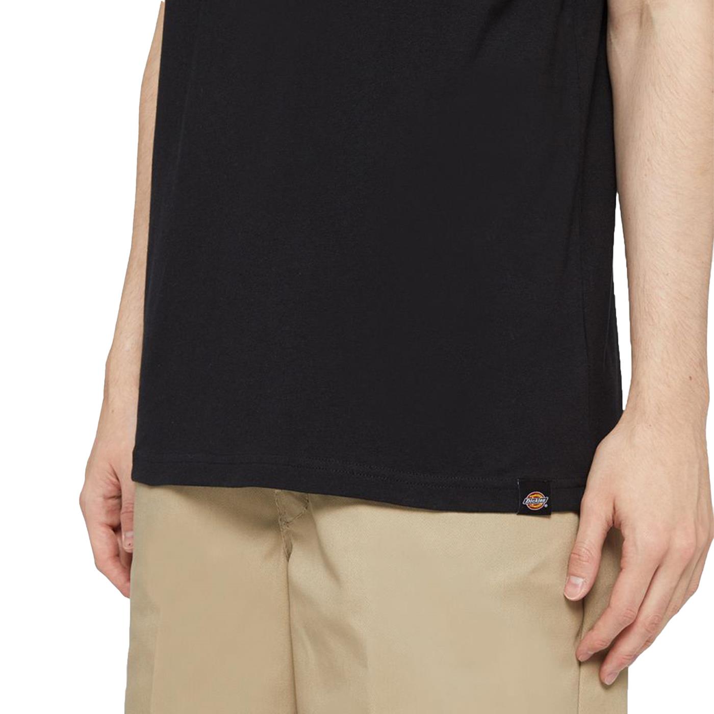 Dickies Park T-Shirt Black - DK0A4YFDBLK