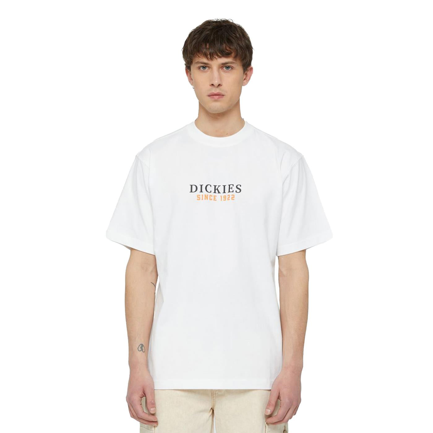 Dickies Park T-Shirt White - DK0A4YFDWHT