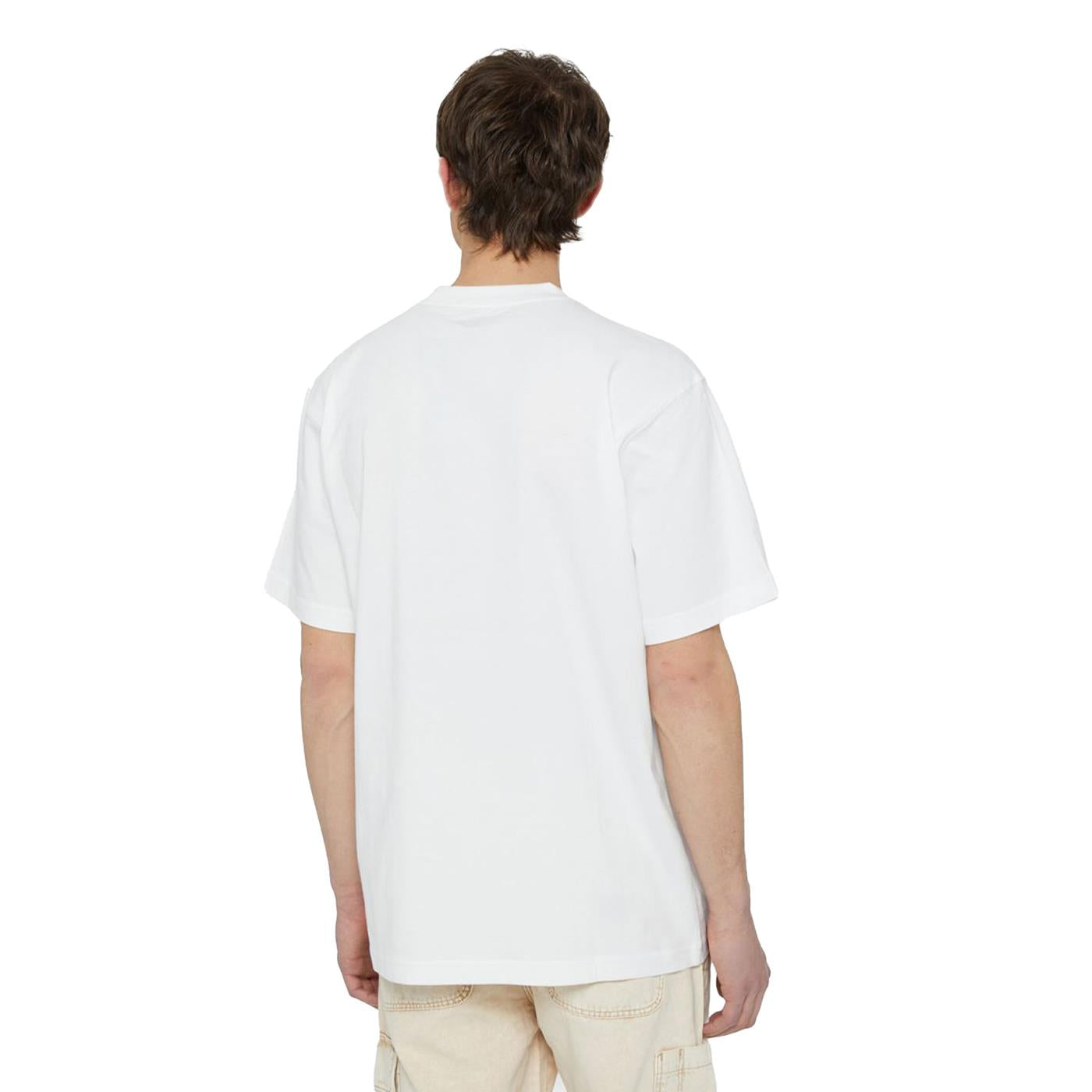 Dickies Park T-Shirt White - DK0A4YFDWHT