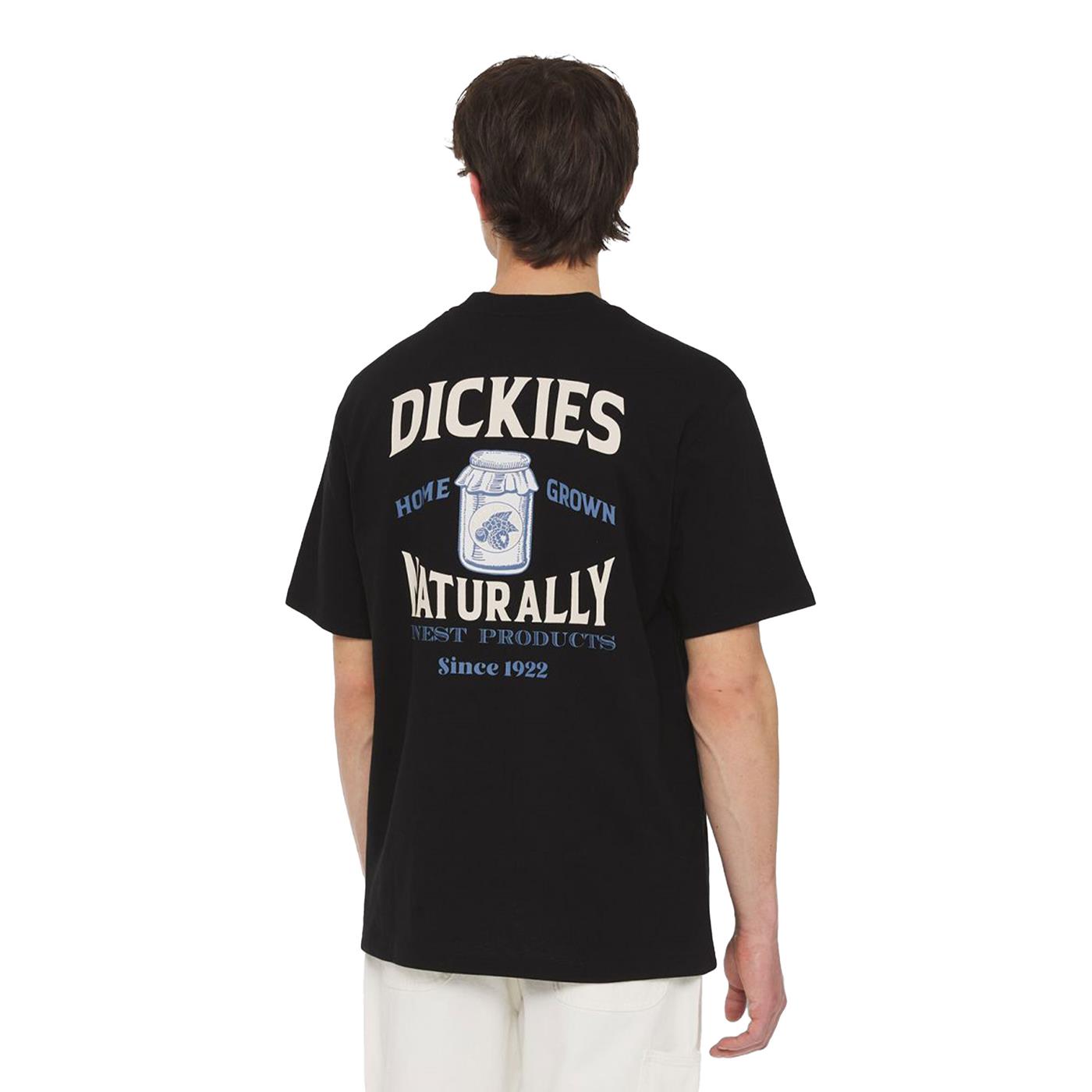 Dickies Elliston T-Shirt Black - DK0A4YRMBLK