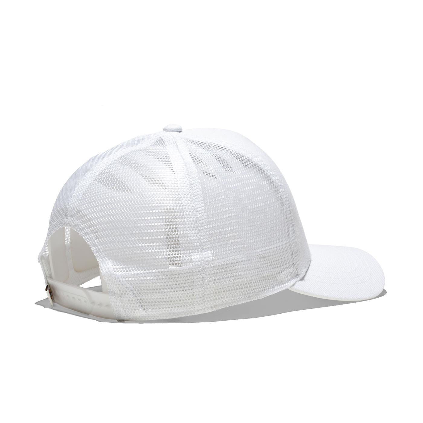 Dickies Hanston Trucker Cloud - DK0A4YV3C58