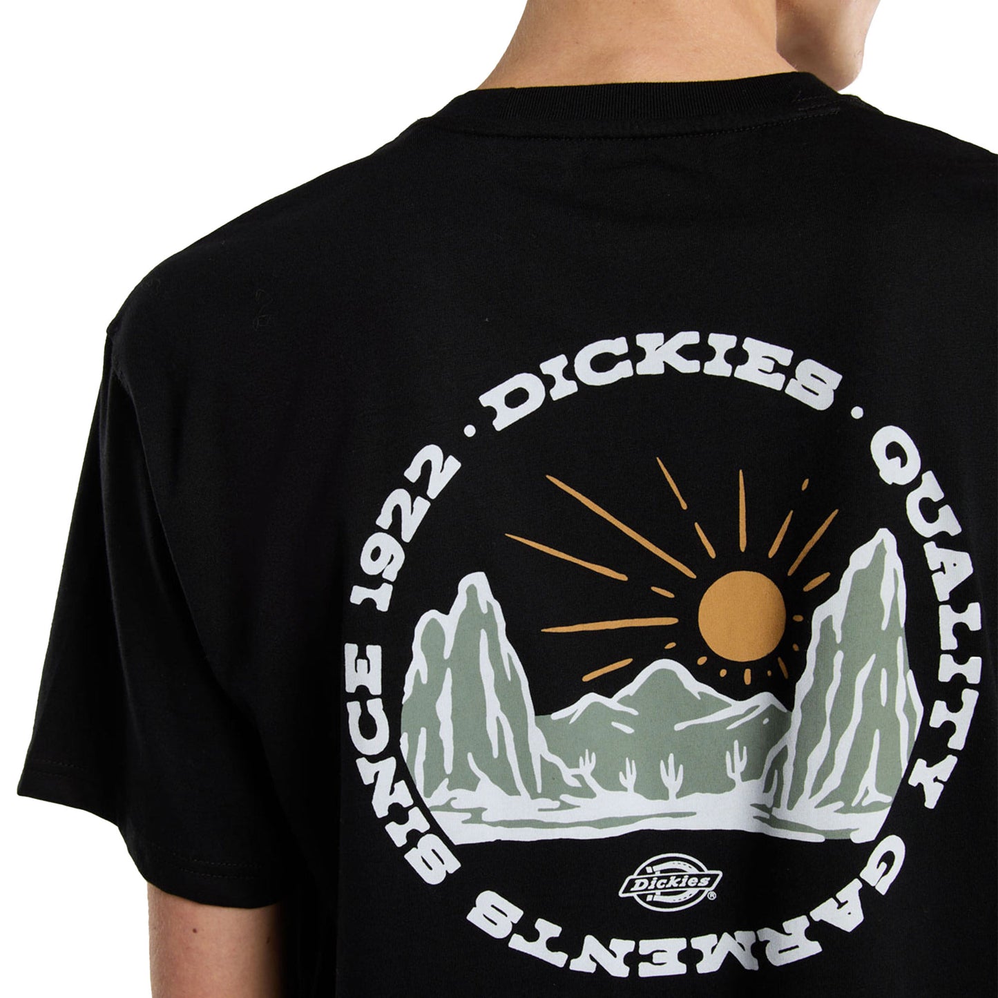 Dickies Outdoor SS Tee Black - DK0A4Z8PBLK