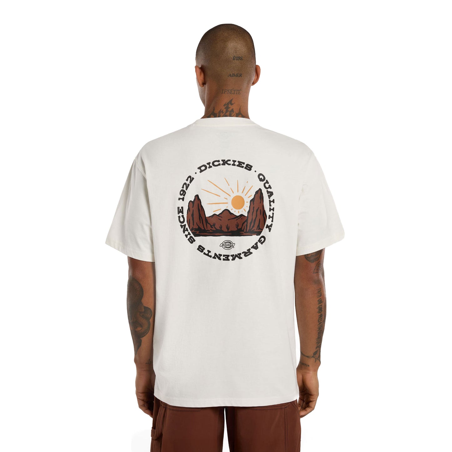 Dickies Outdoor SS Tee Egret - DK0A4Z8PC48