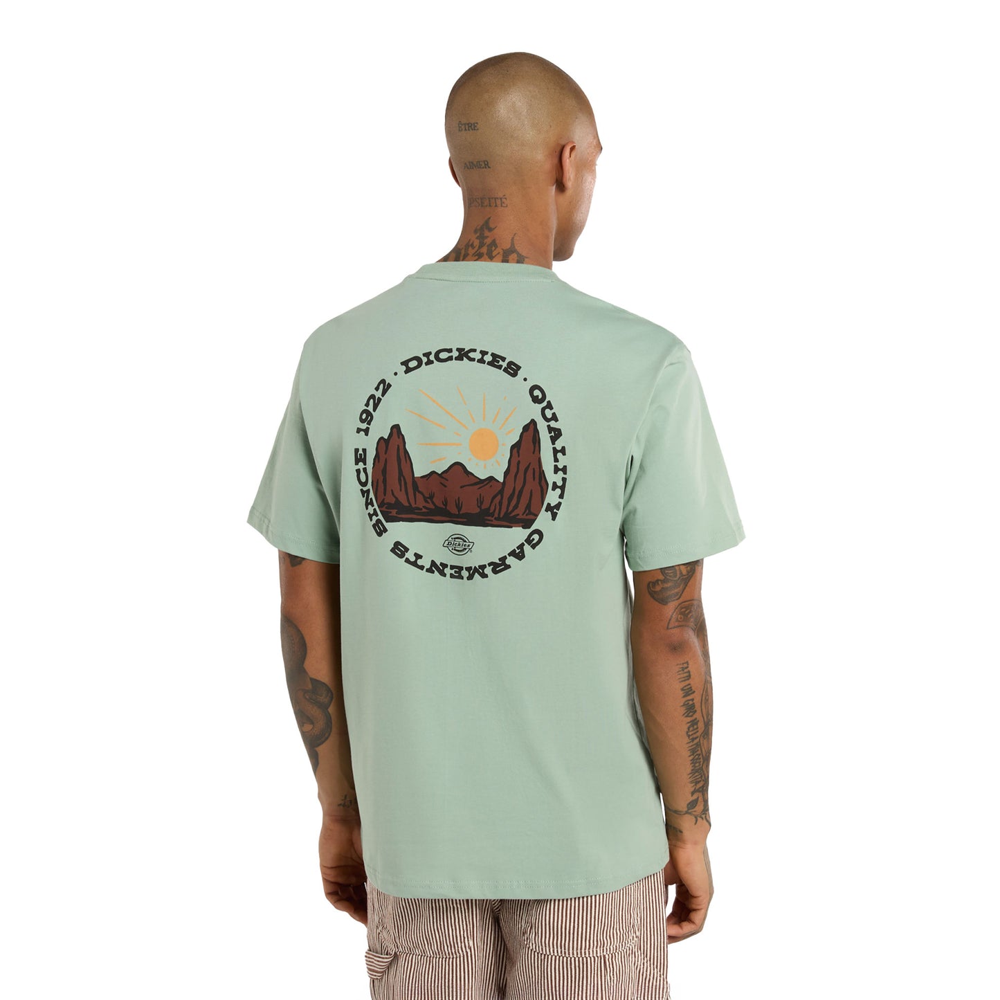 Dickies Outdoor SS Tee Iceberg Green - DK0A4Z8PK36