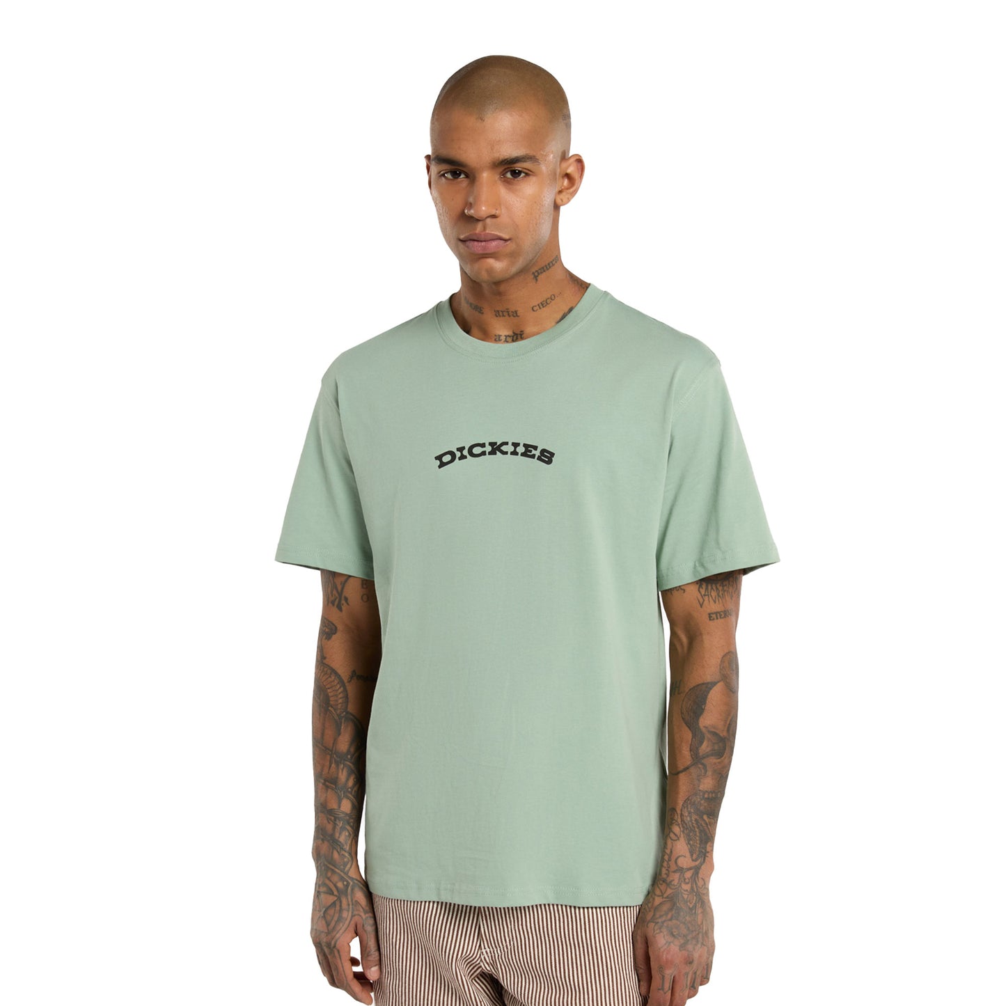 Dickies Outdoor SS Tee Iceberg Green - DK0A4Z8PK36